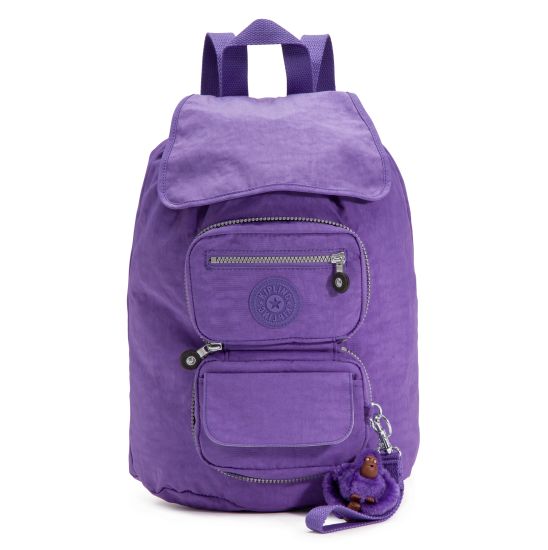 Vivid Purple