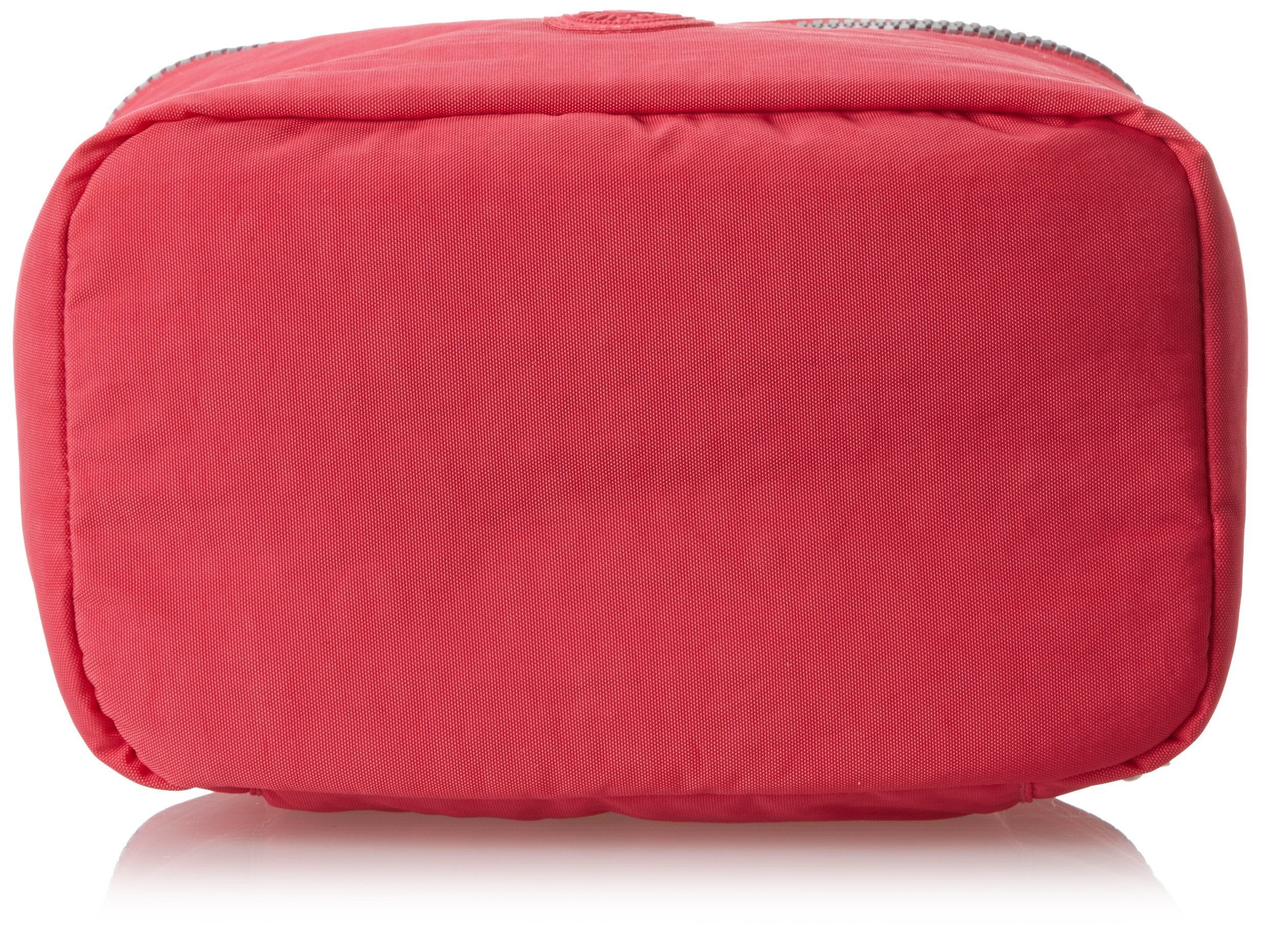 Vibrant Pink