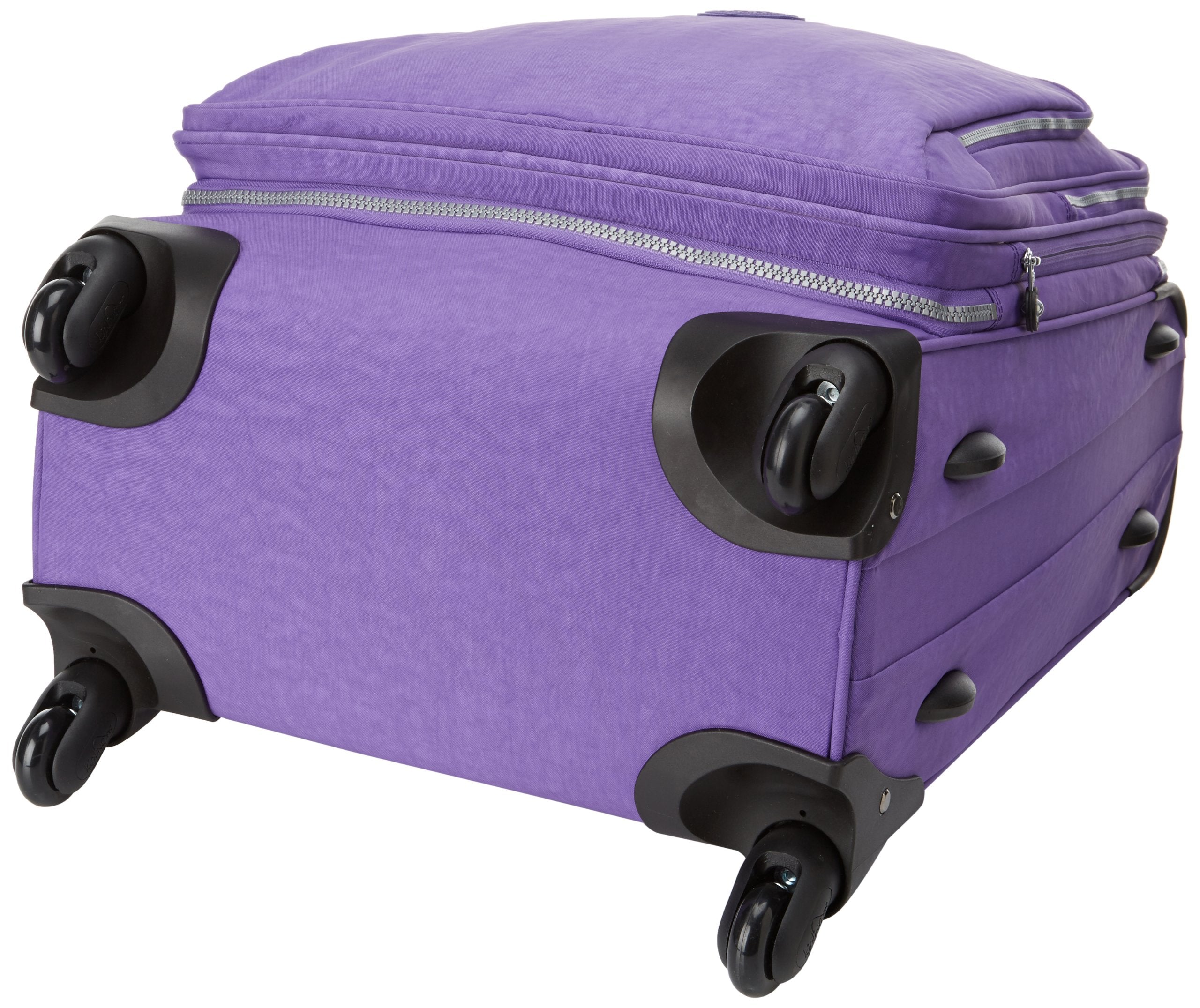 Vivid Purple