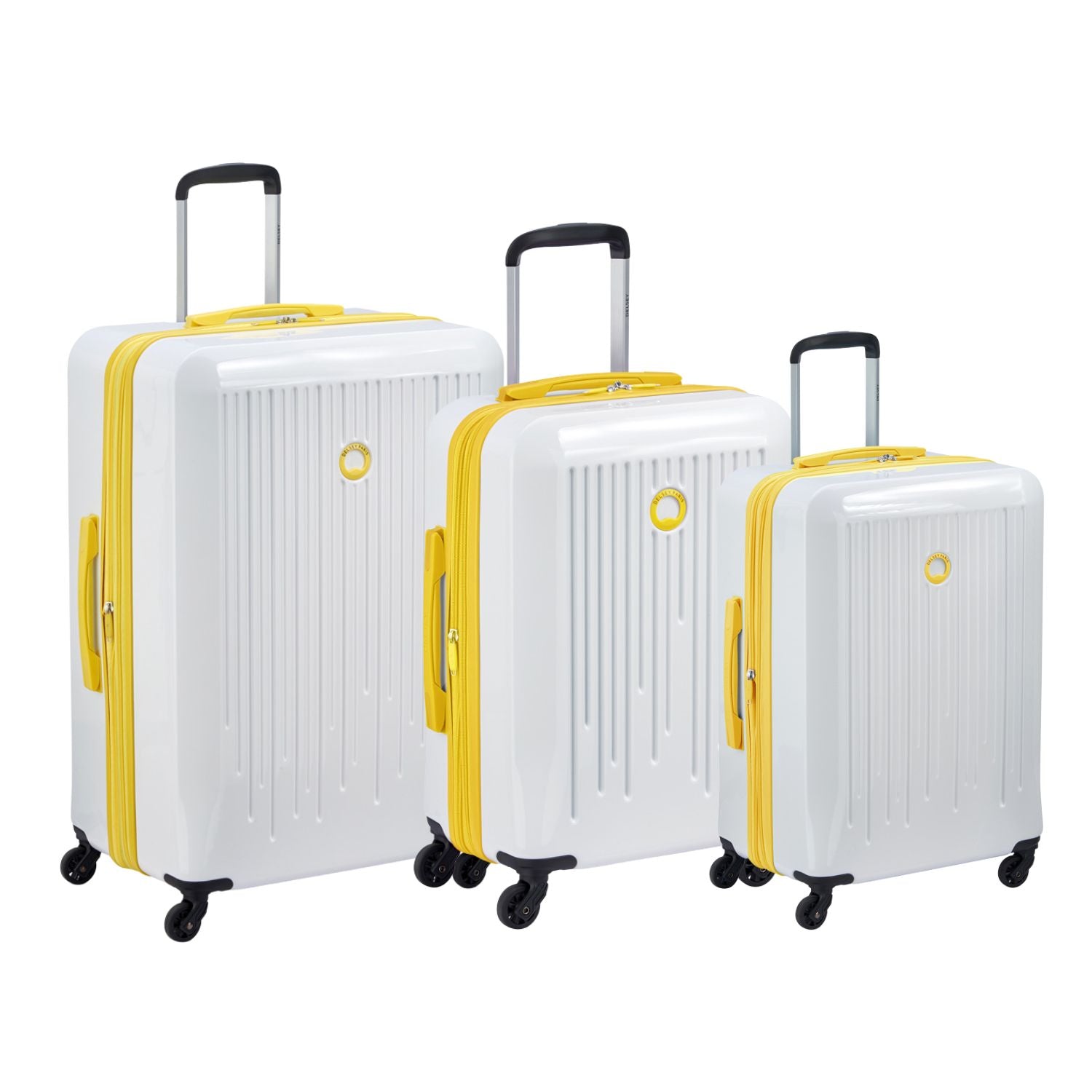 White with Yellow trim