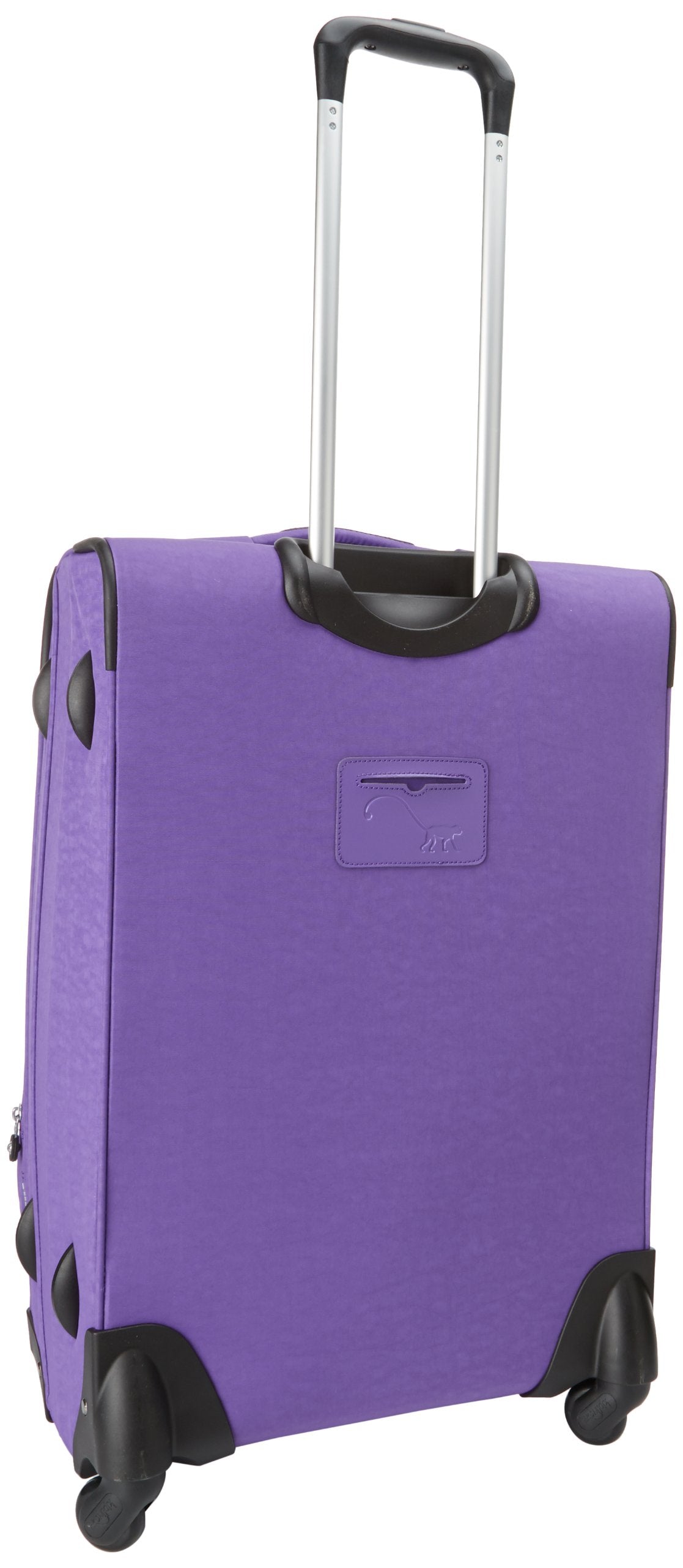 Vivid Purple