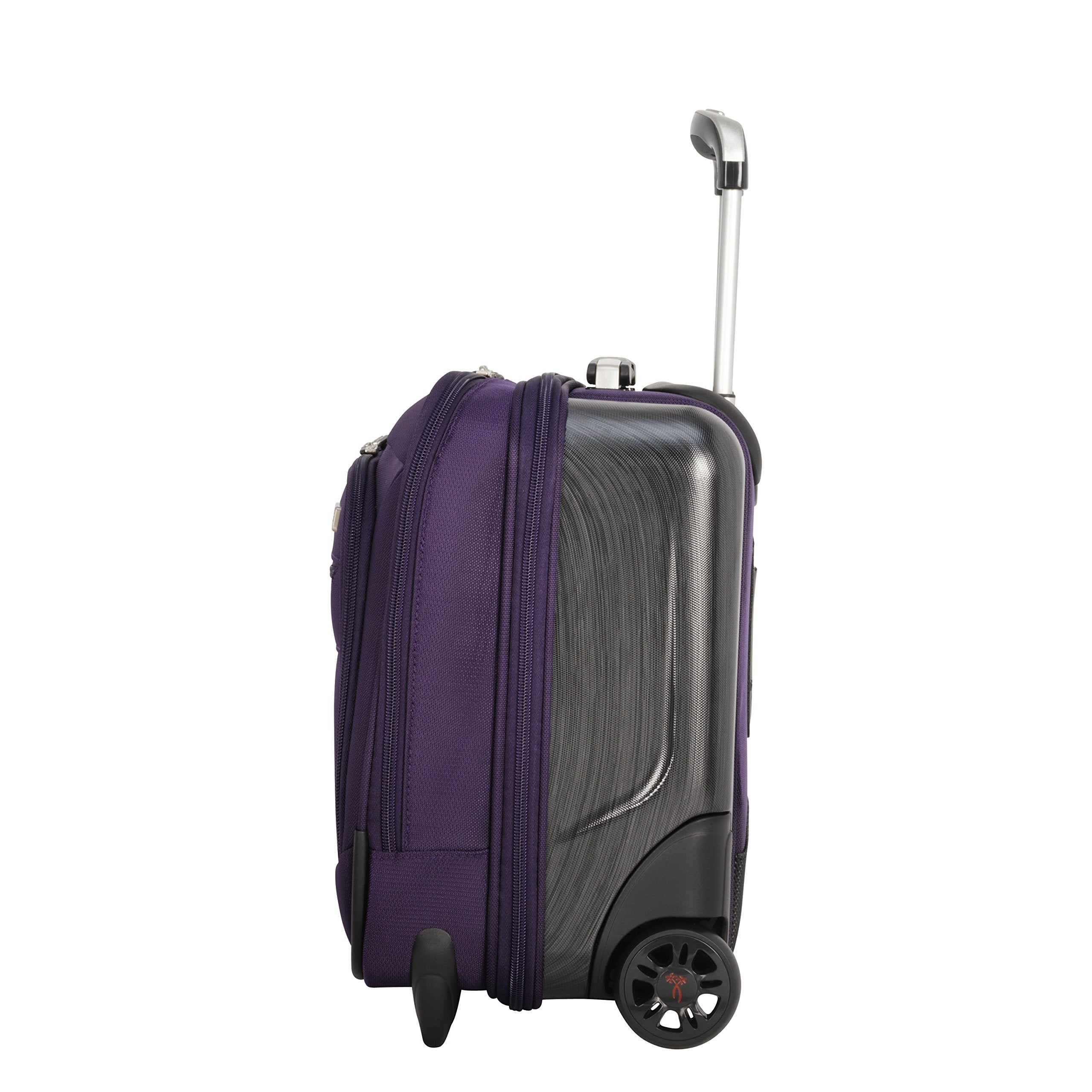 Aubergine Purple