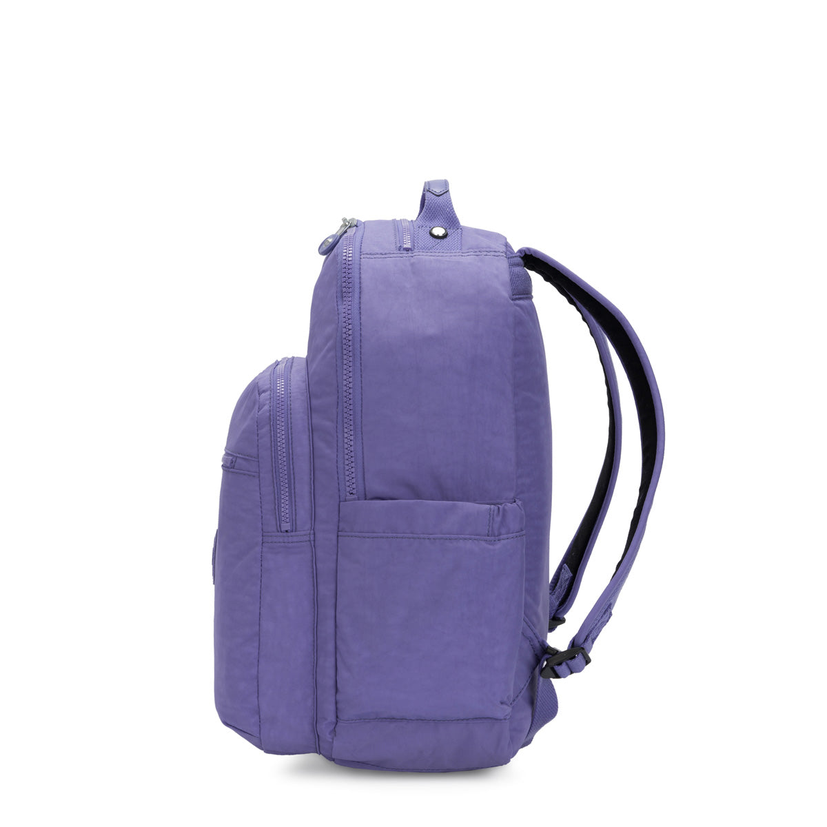Eggplant Purple