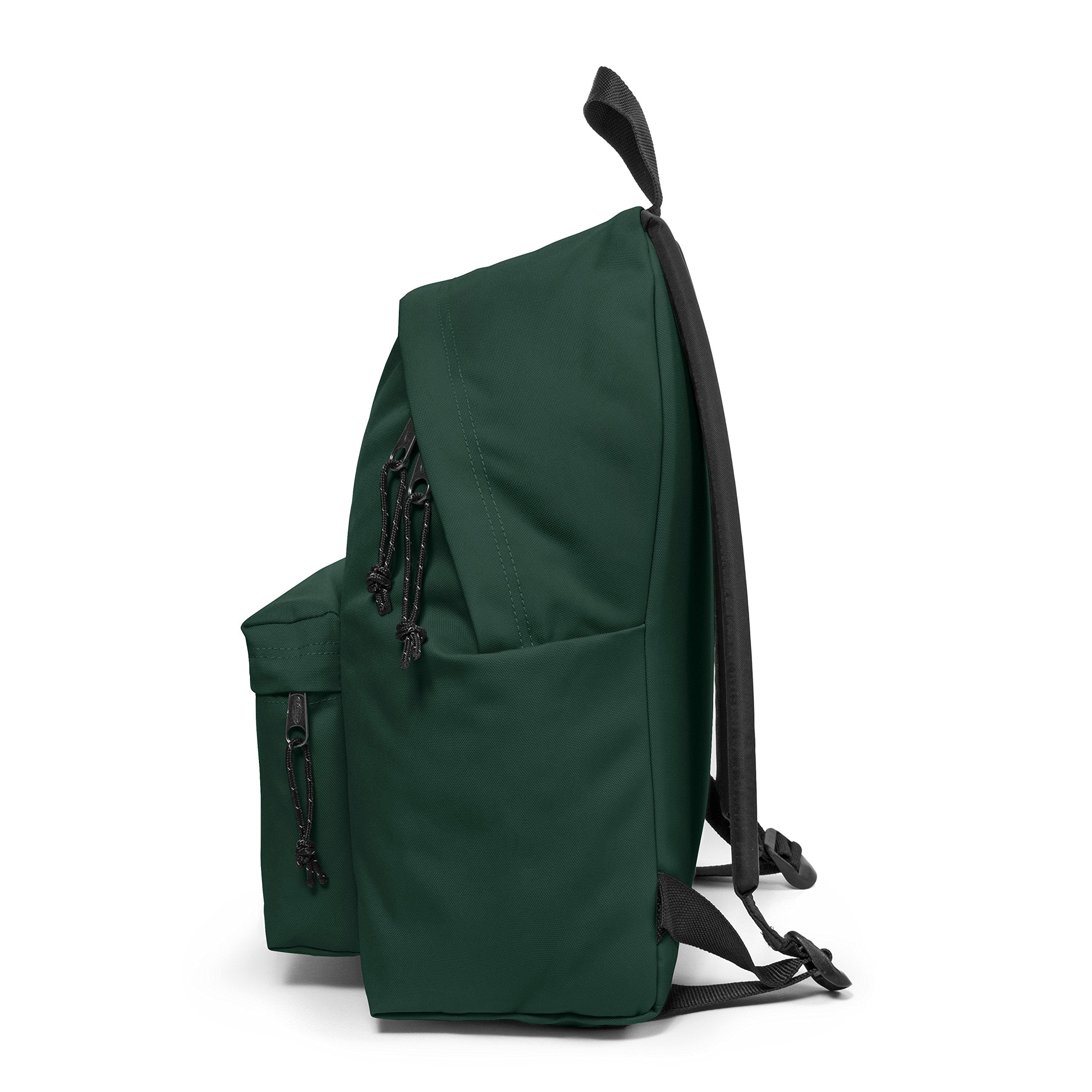 Pine Green