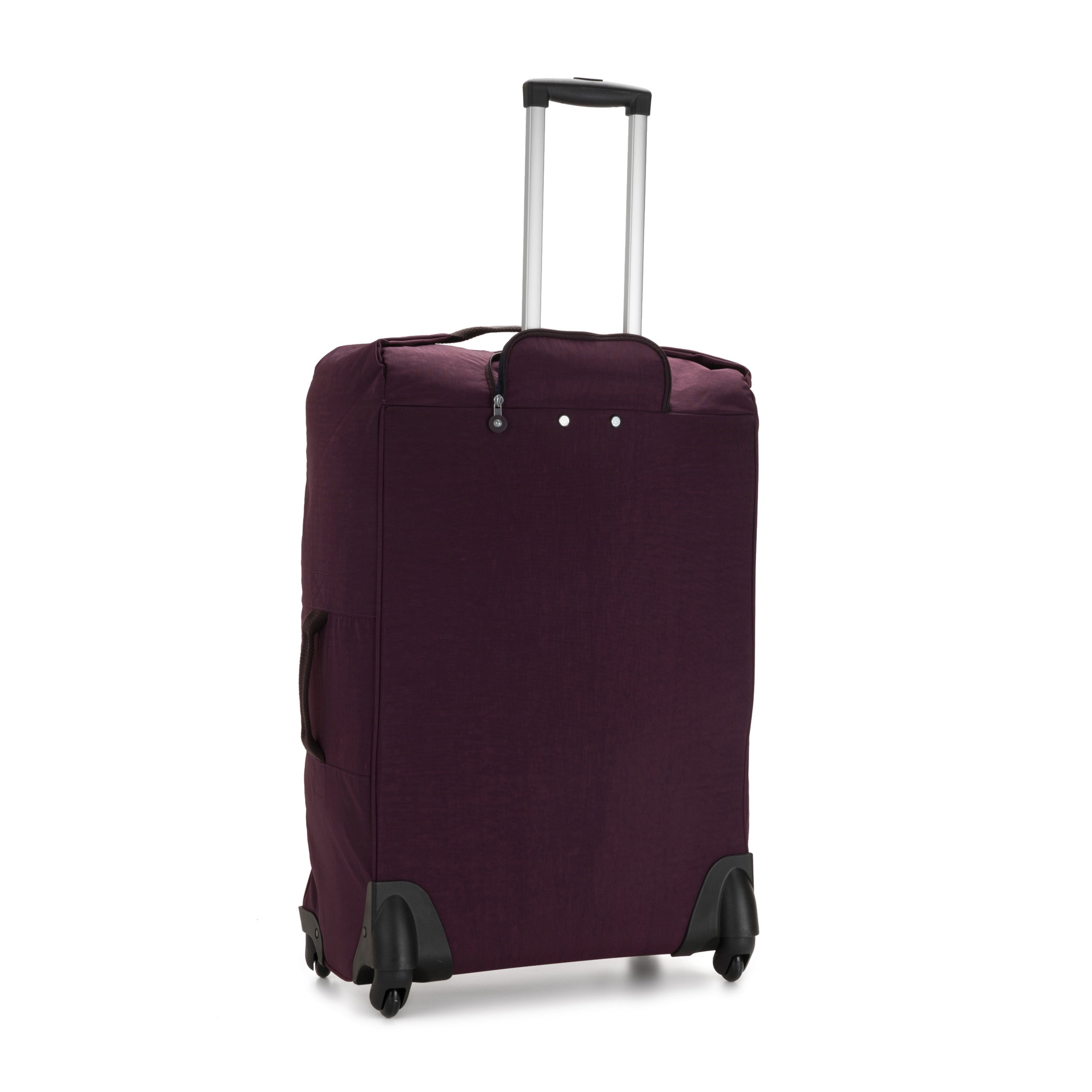 Dark Plum