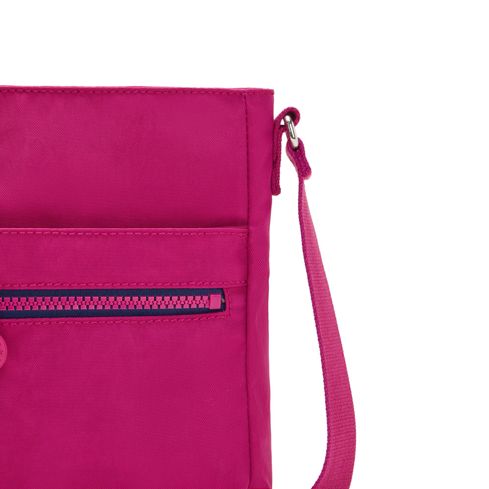 Pink Fuchsia