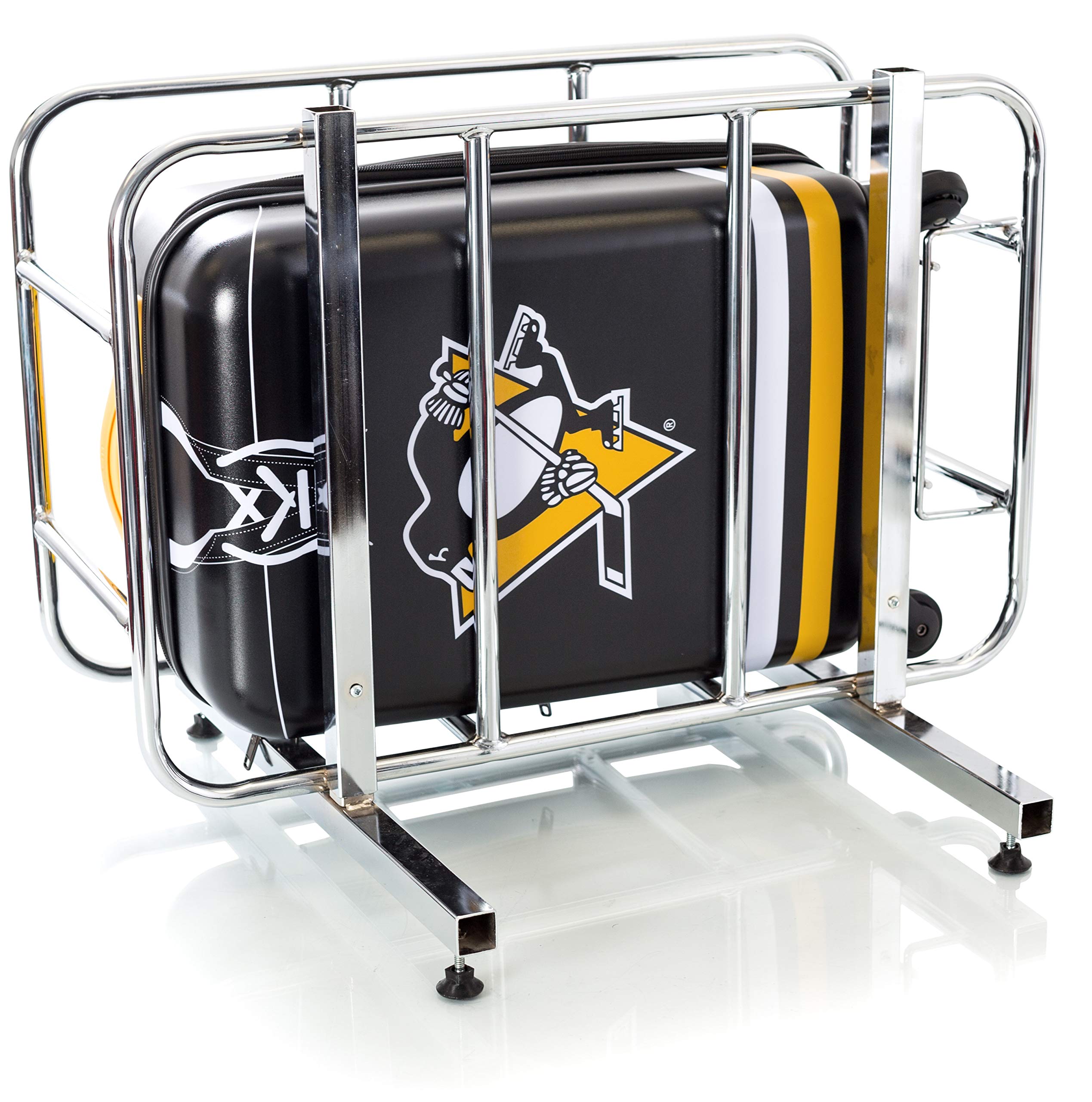 Pittsburg Penguins