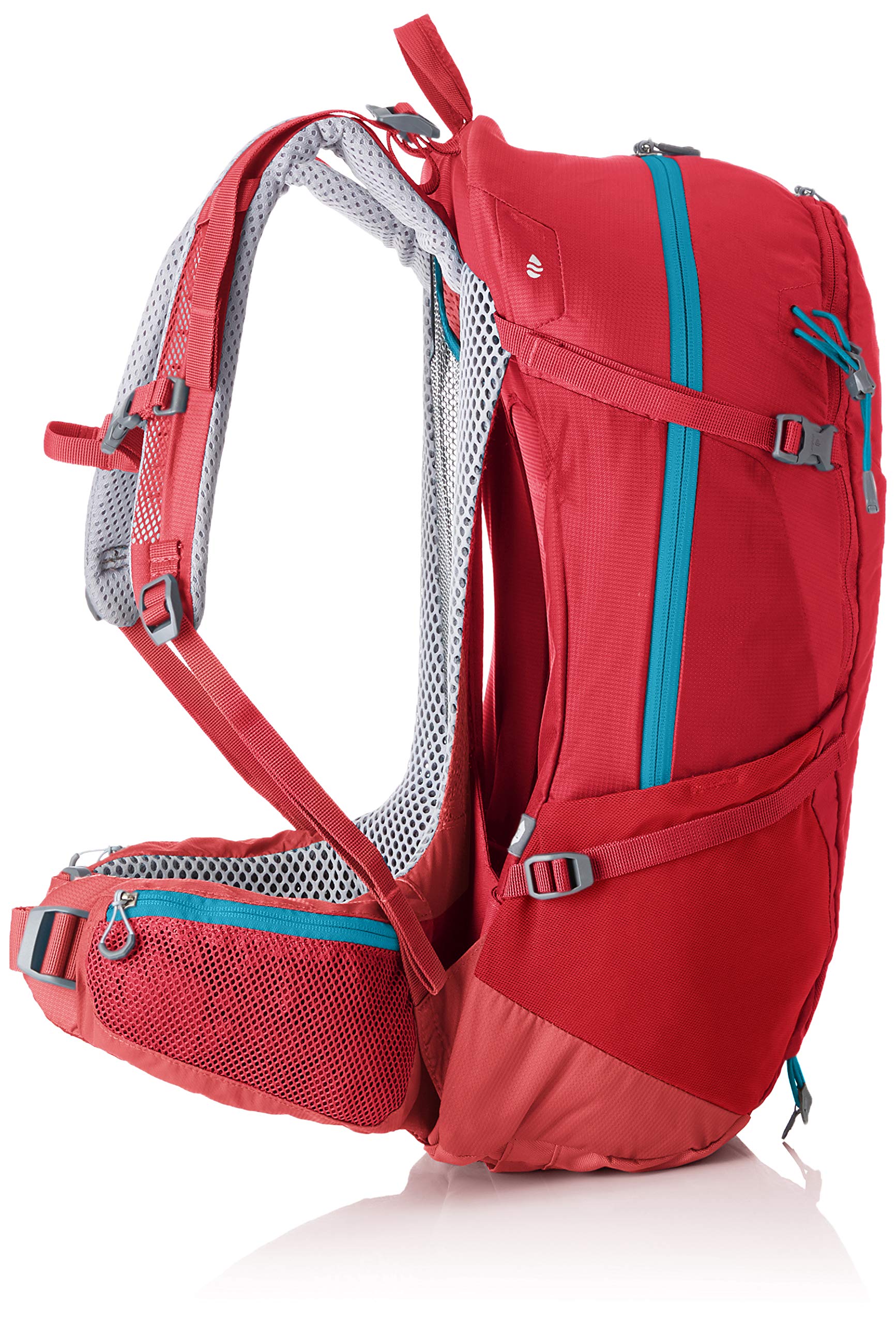 Cardinal/Cranberry