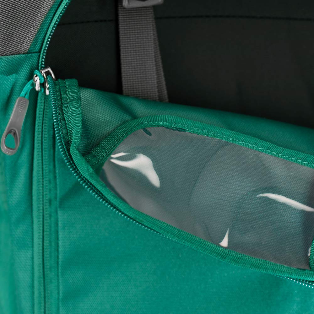Rainforest Green