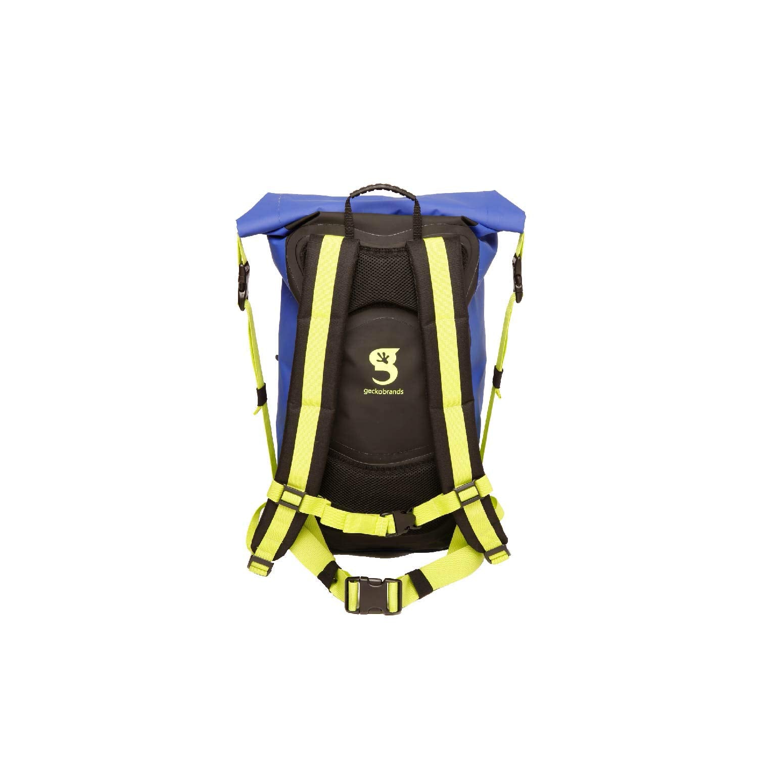 Royal Blue/Neon Green