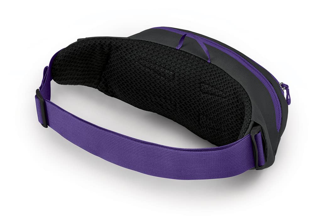 Daylite Waist Pack Moody Burgundy