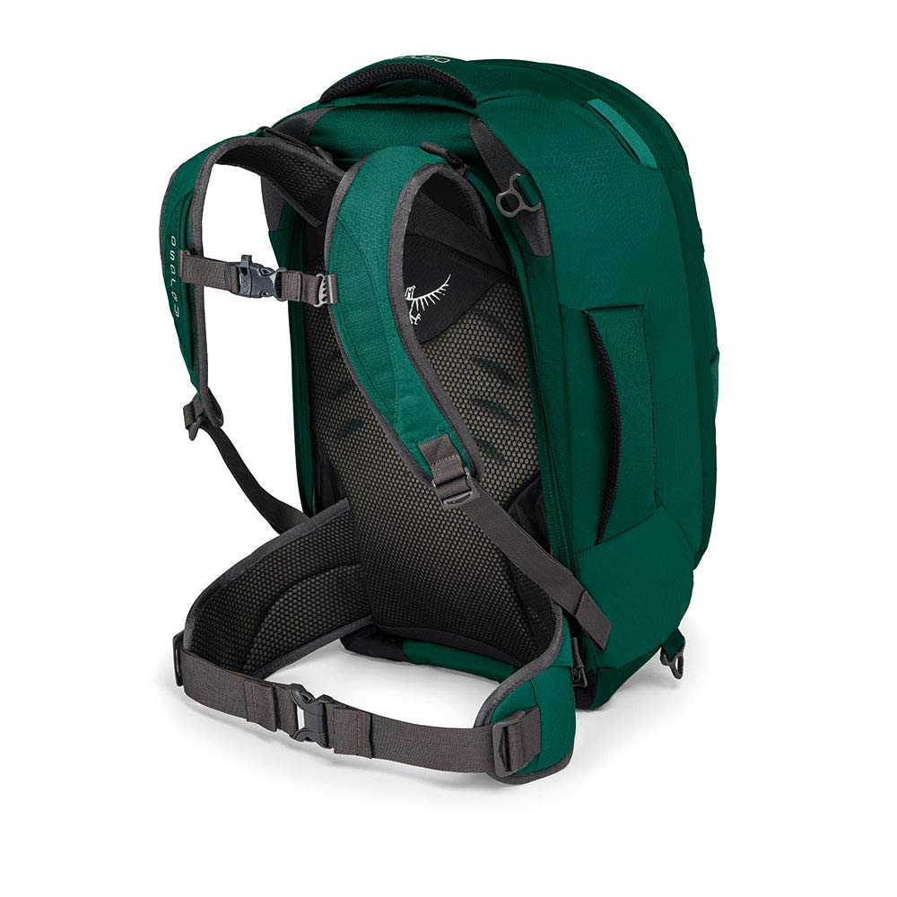 Rainforest Green