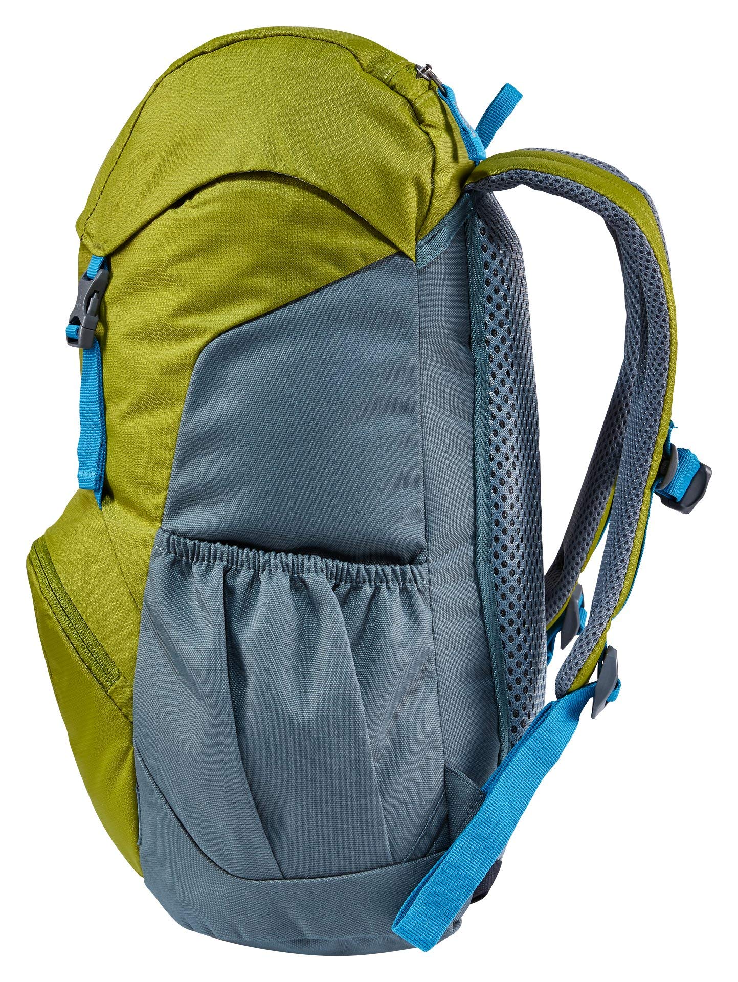 Moss-Teal