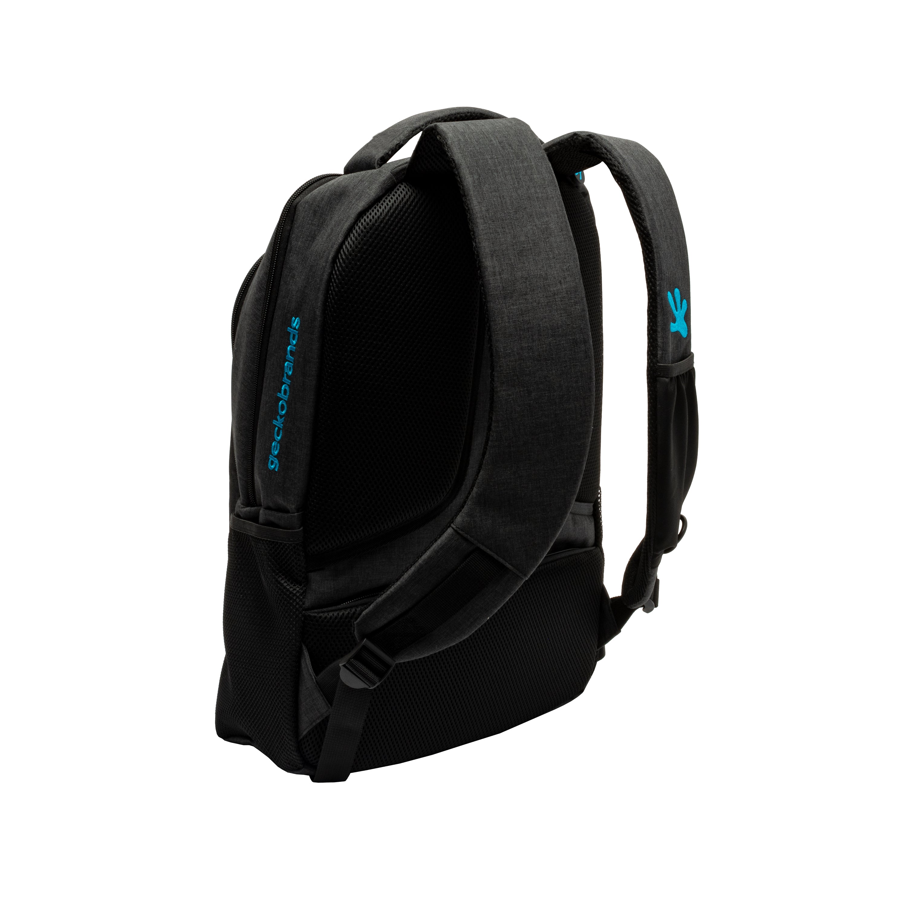 Black/Aqua