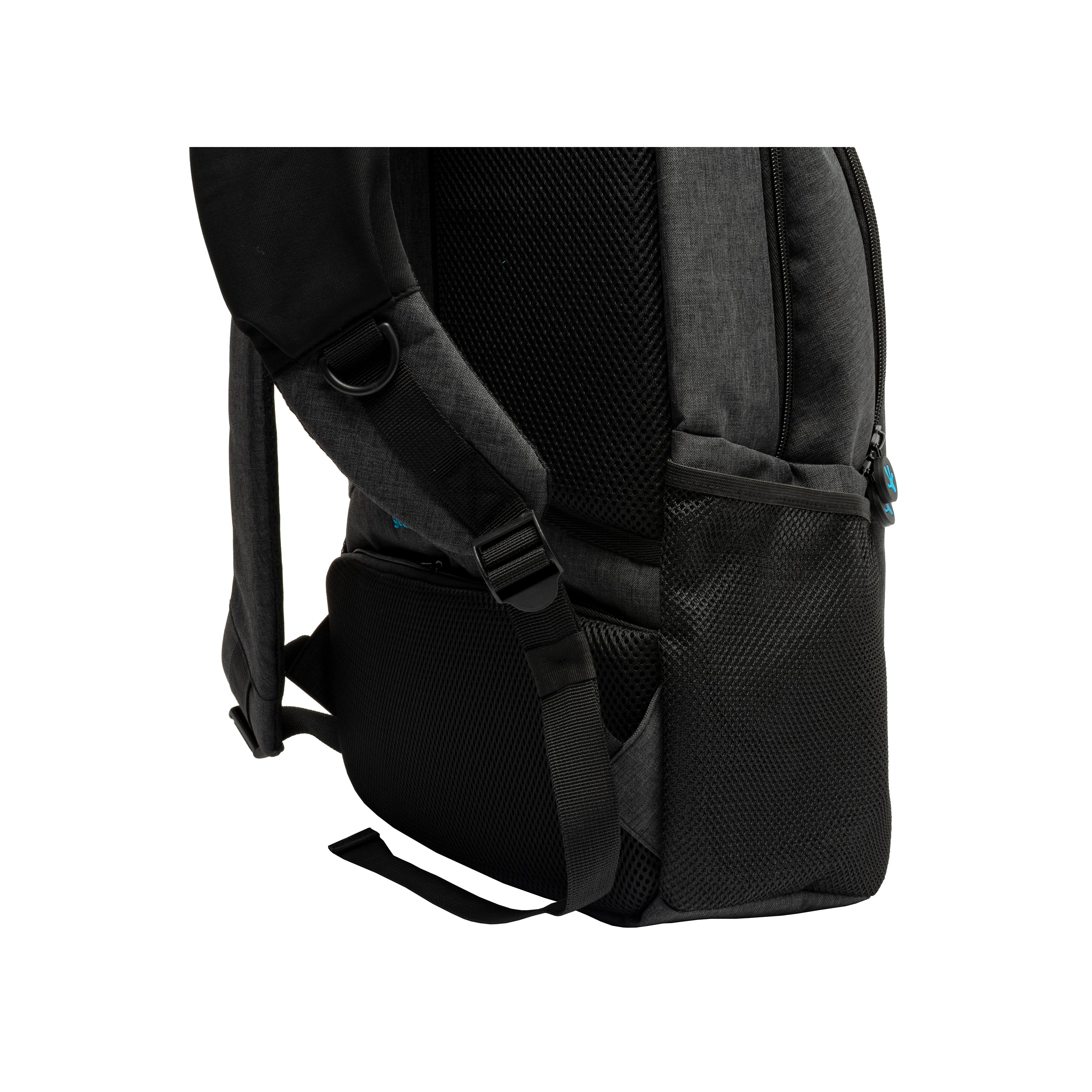 Black/Aqua