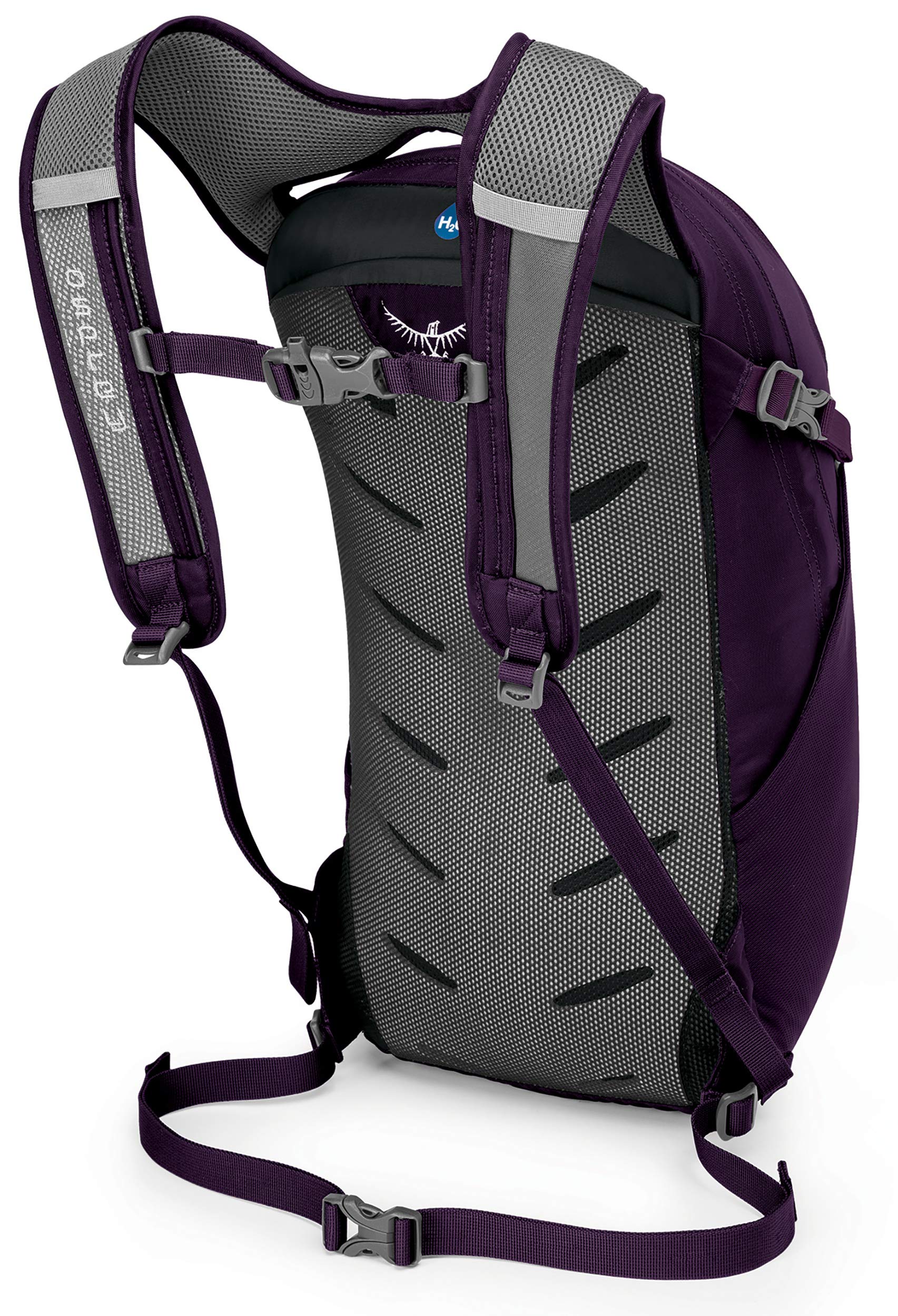 Amulet Purple