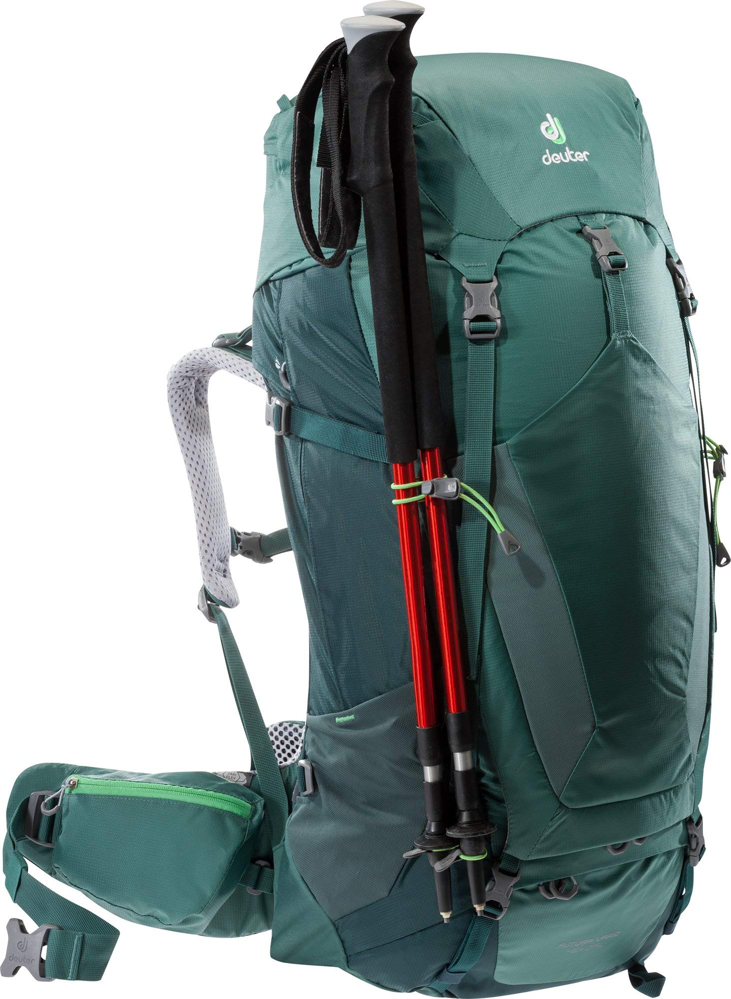 Sea Green/Forest