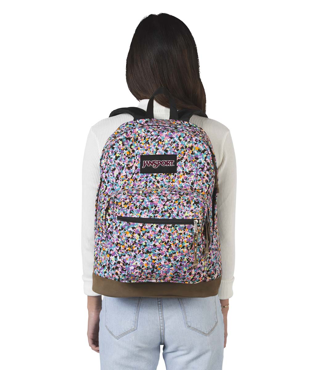 JanSport Leopard Backpacks