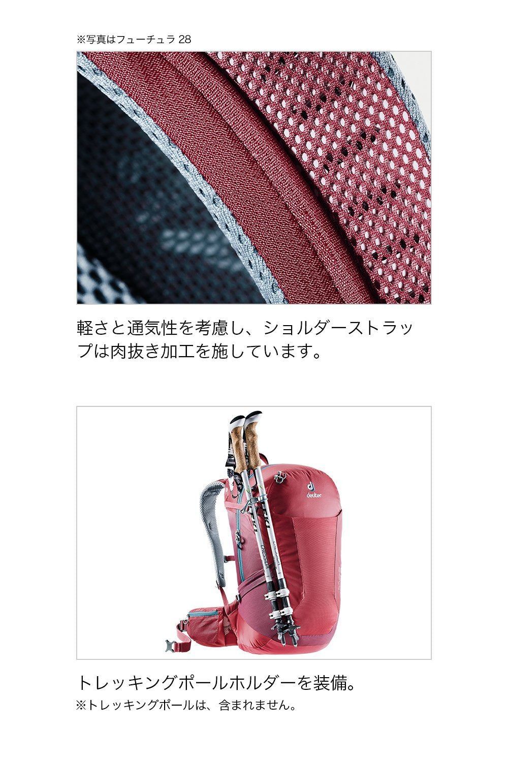 Cranberry/Maroon