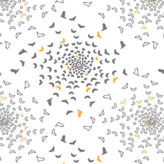 Gray/Orange