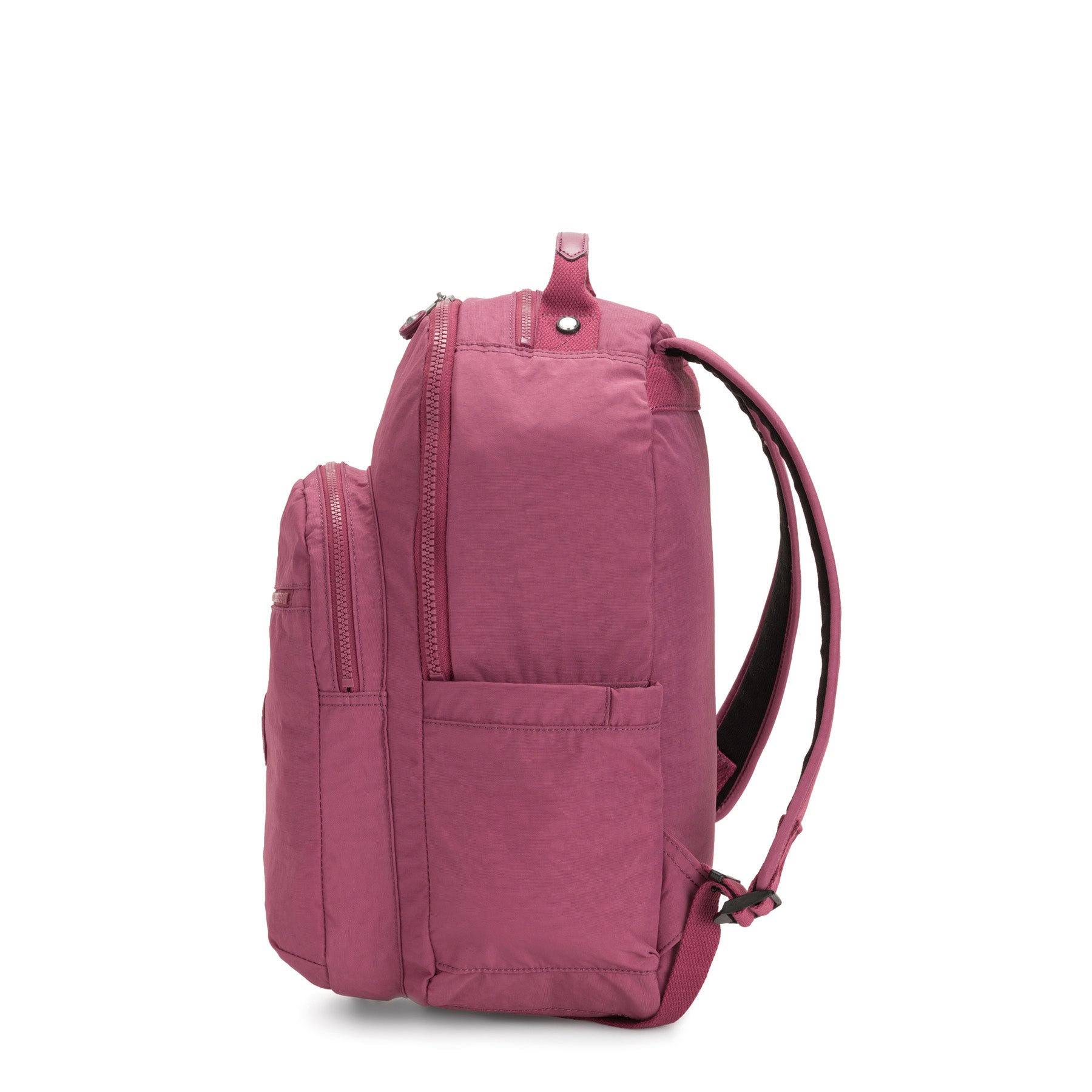 Fig Purple