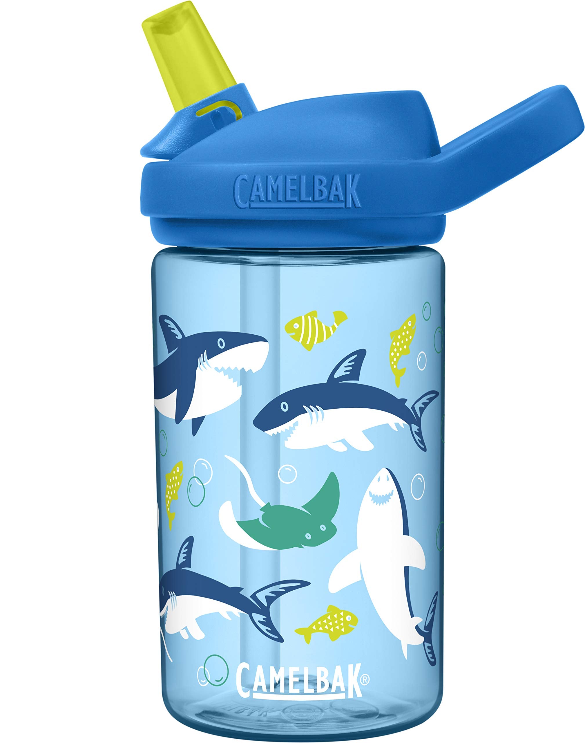 Sharks and Rays