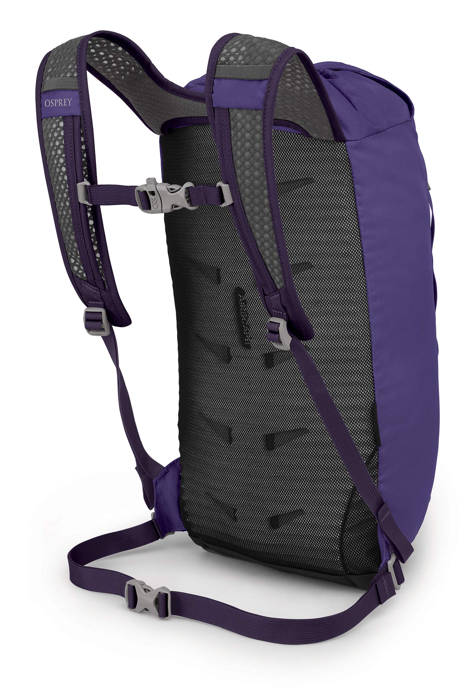 Dream Purple