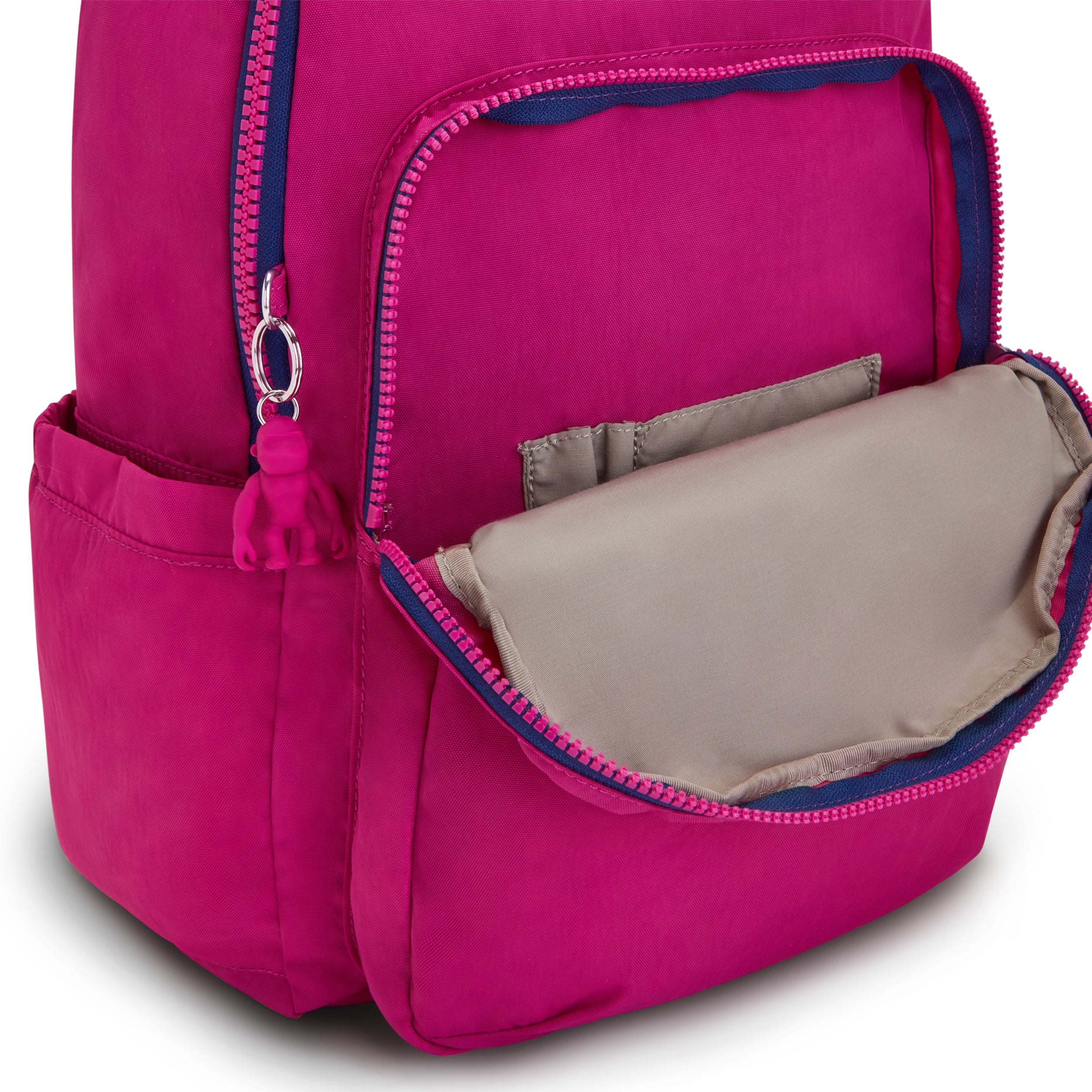 Pink Fuchsia
