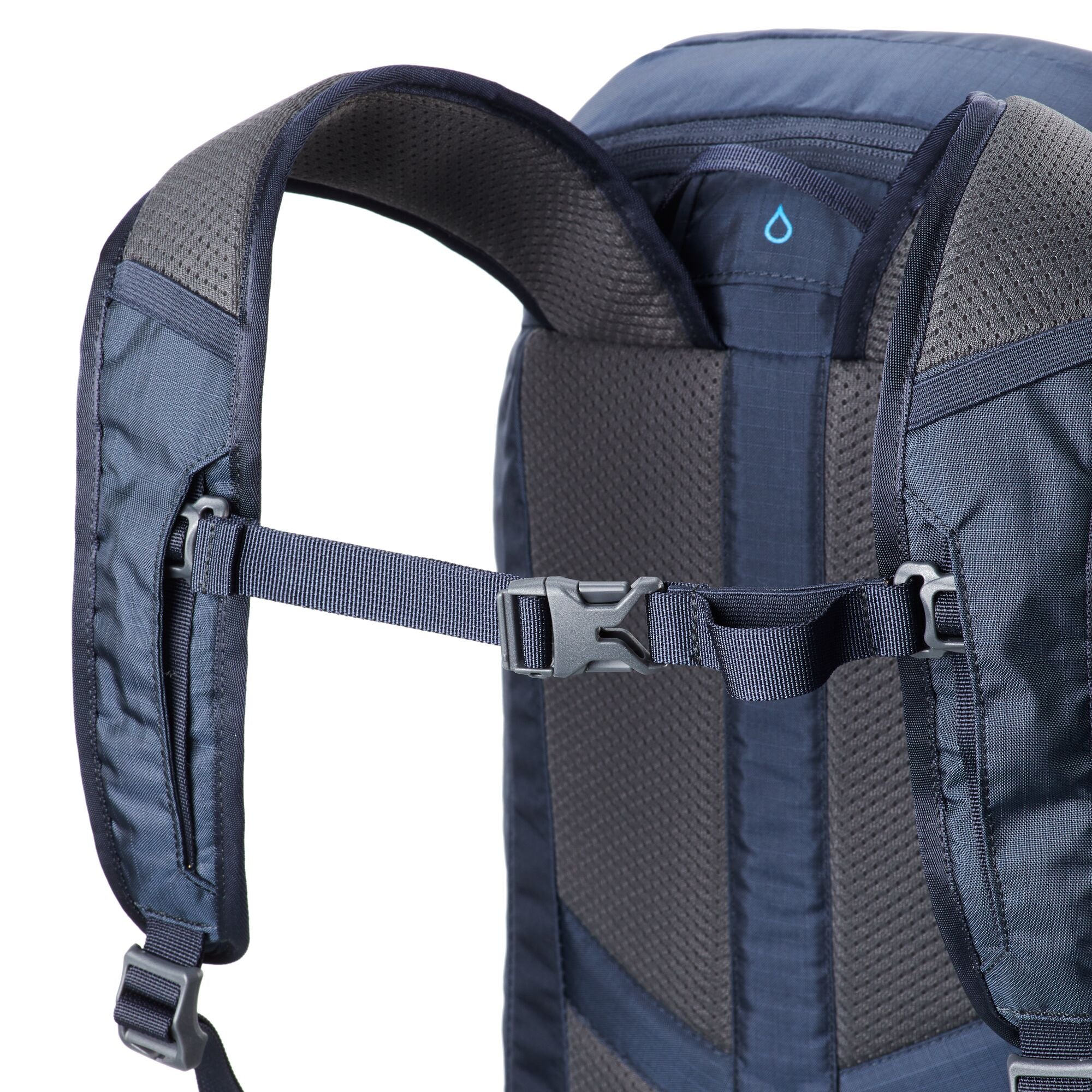 Midnight Navy/Icon Green