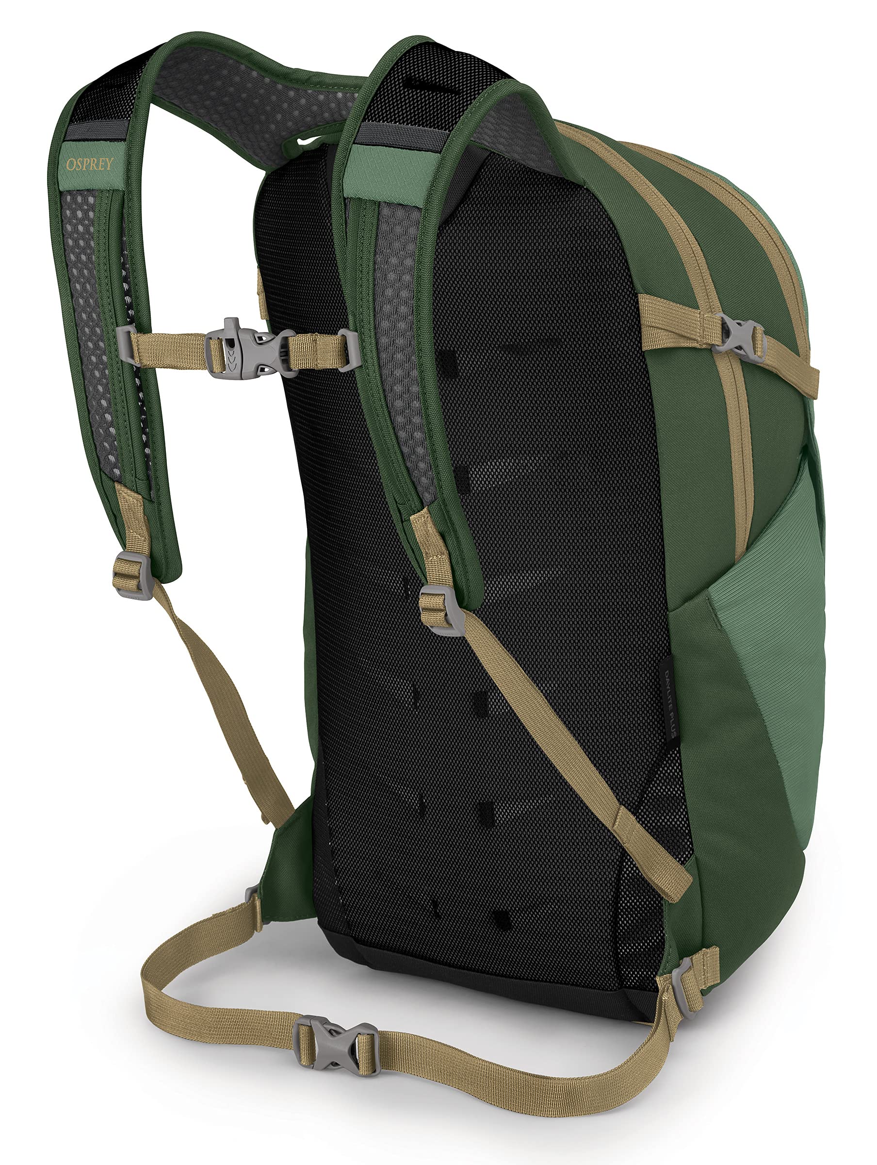 Tortuga/Dustmoss Green