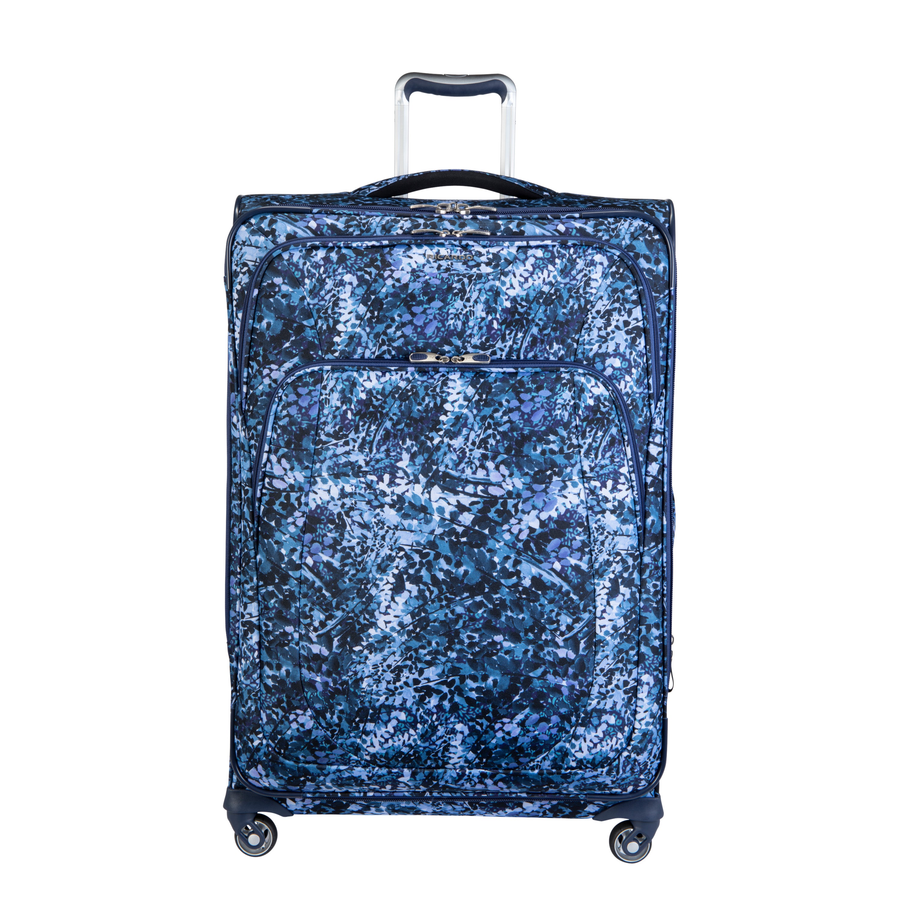 Blue Fern Print