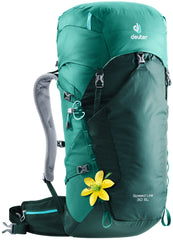 Forest/Alpinegreen