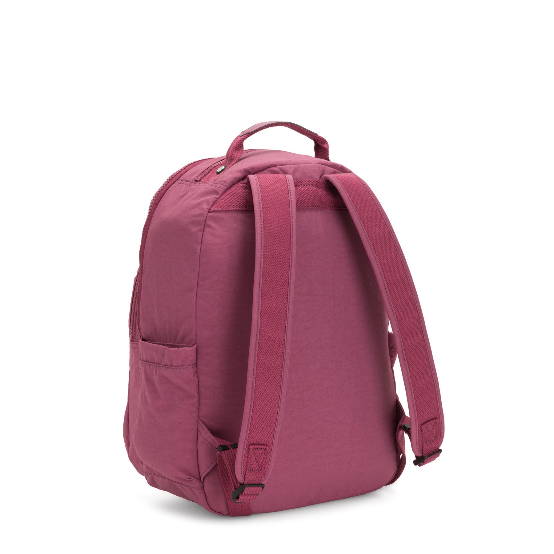 Fig Purple