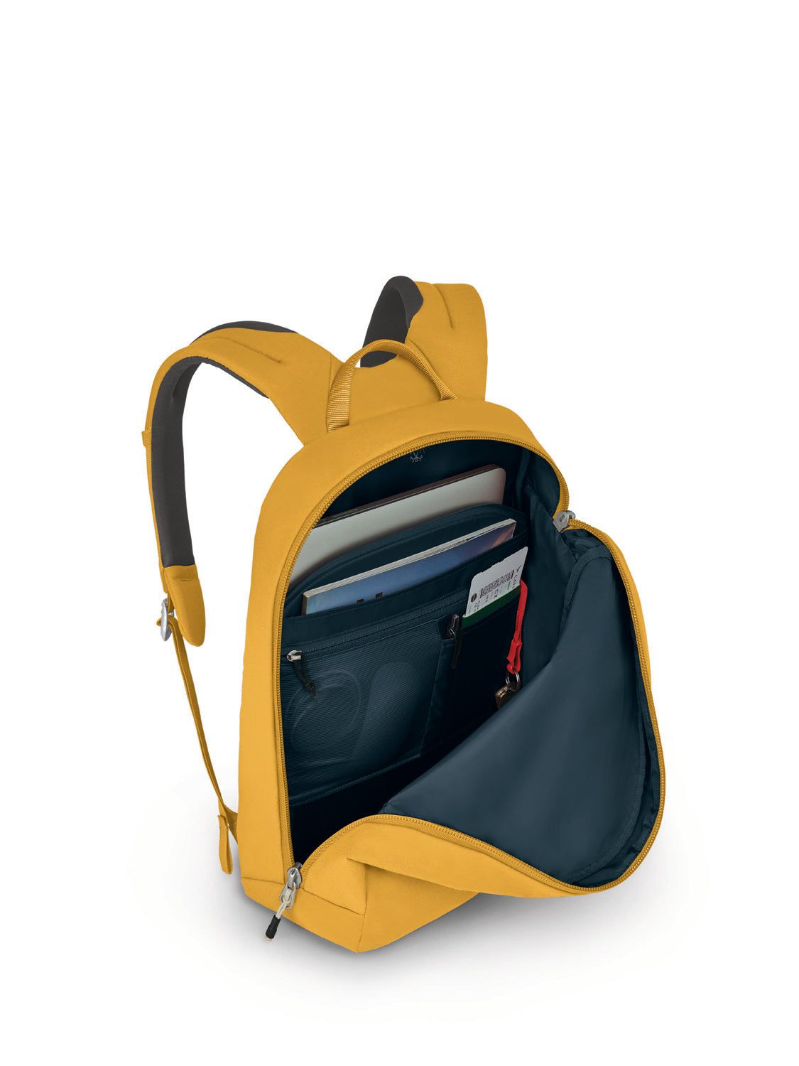 Honeybee Yellow
