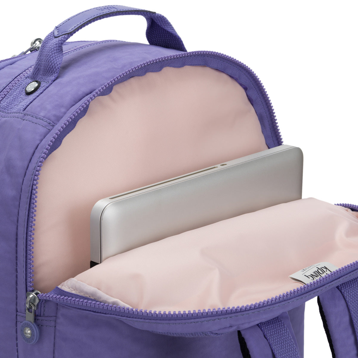 Eggplant Purple