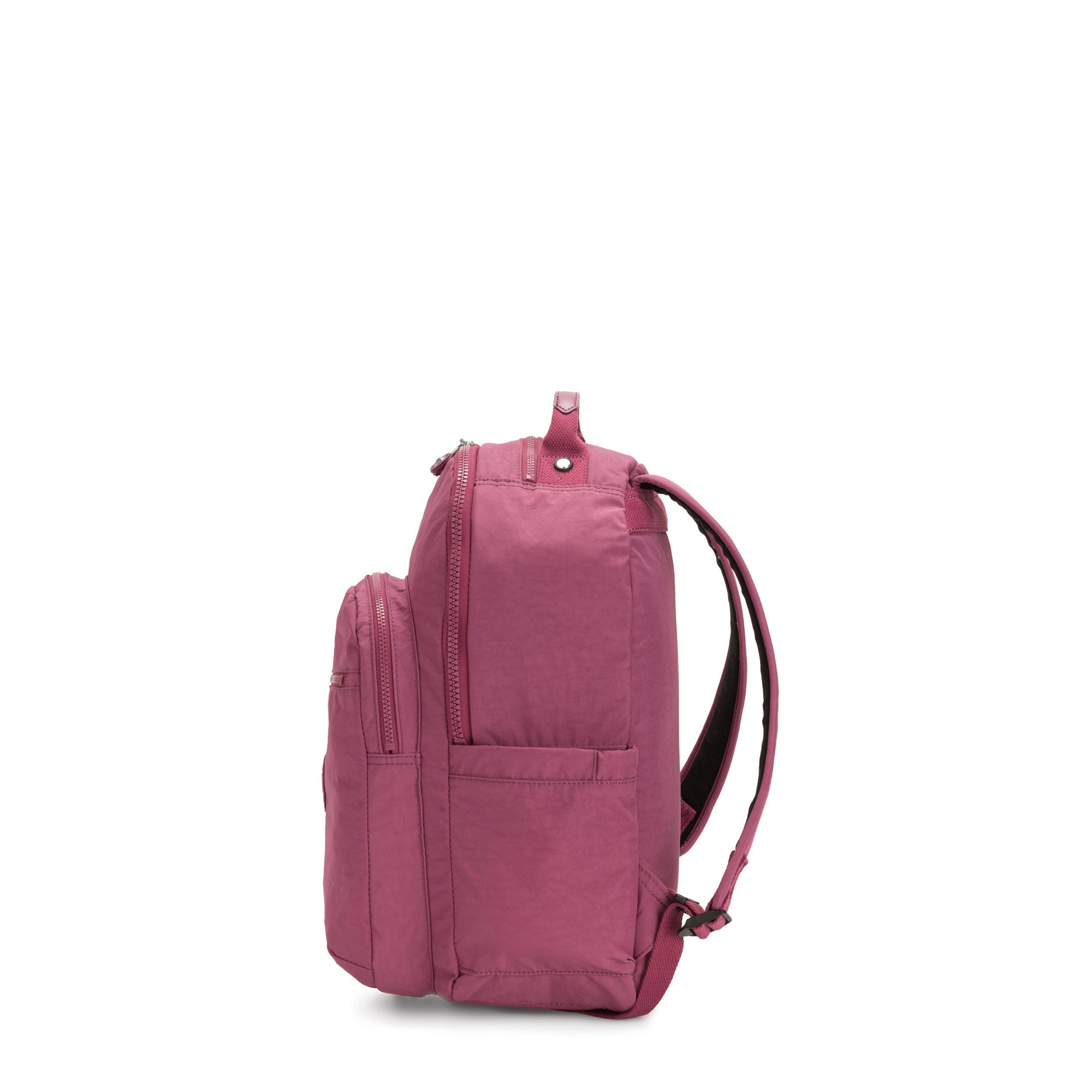Fig Purple