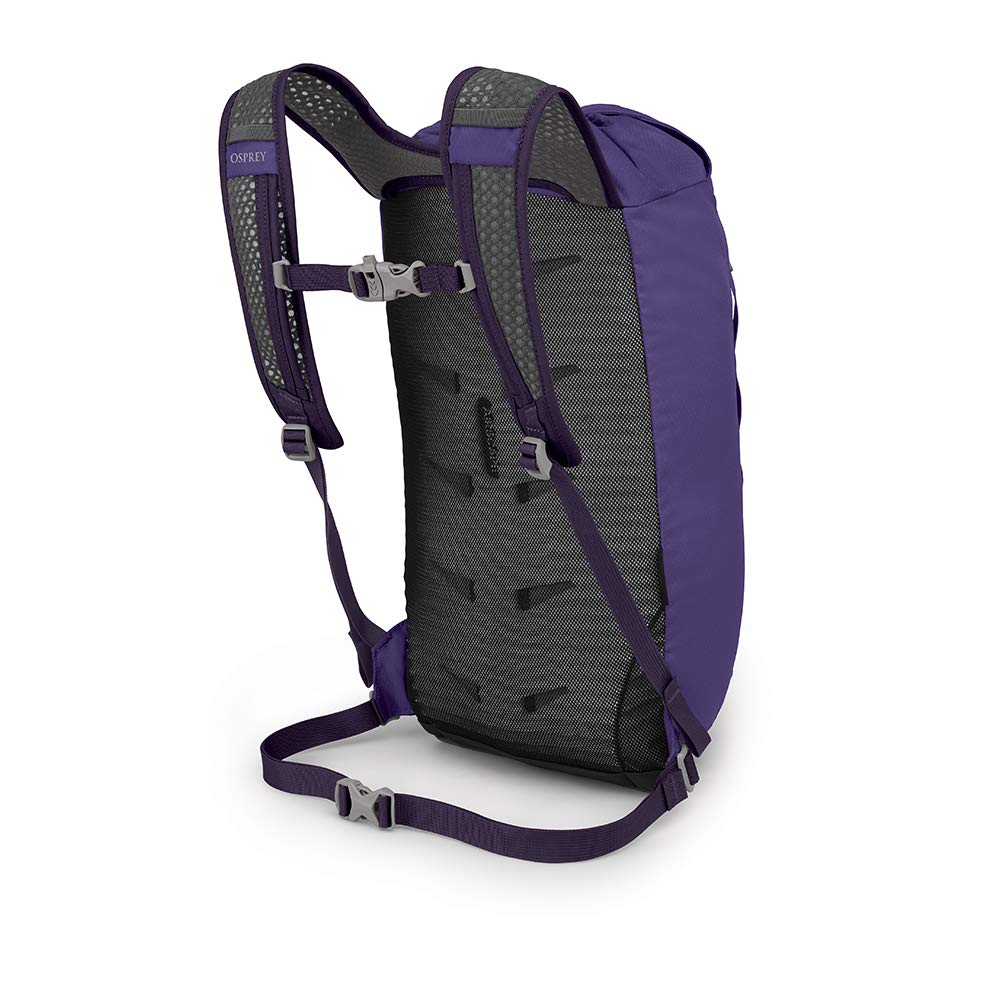 Dream Purple