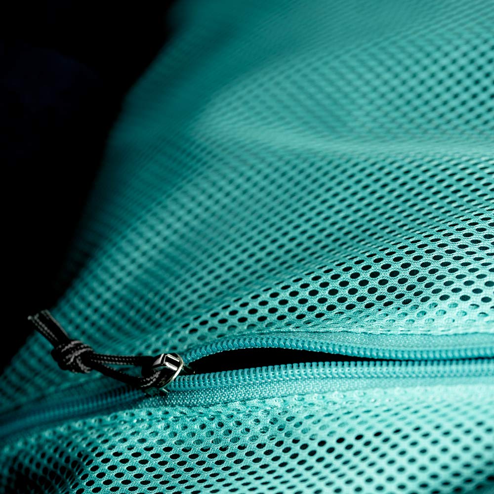 Rainforest Green
