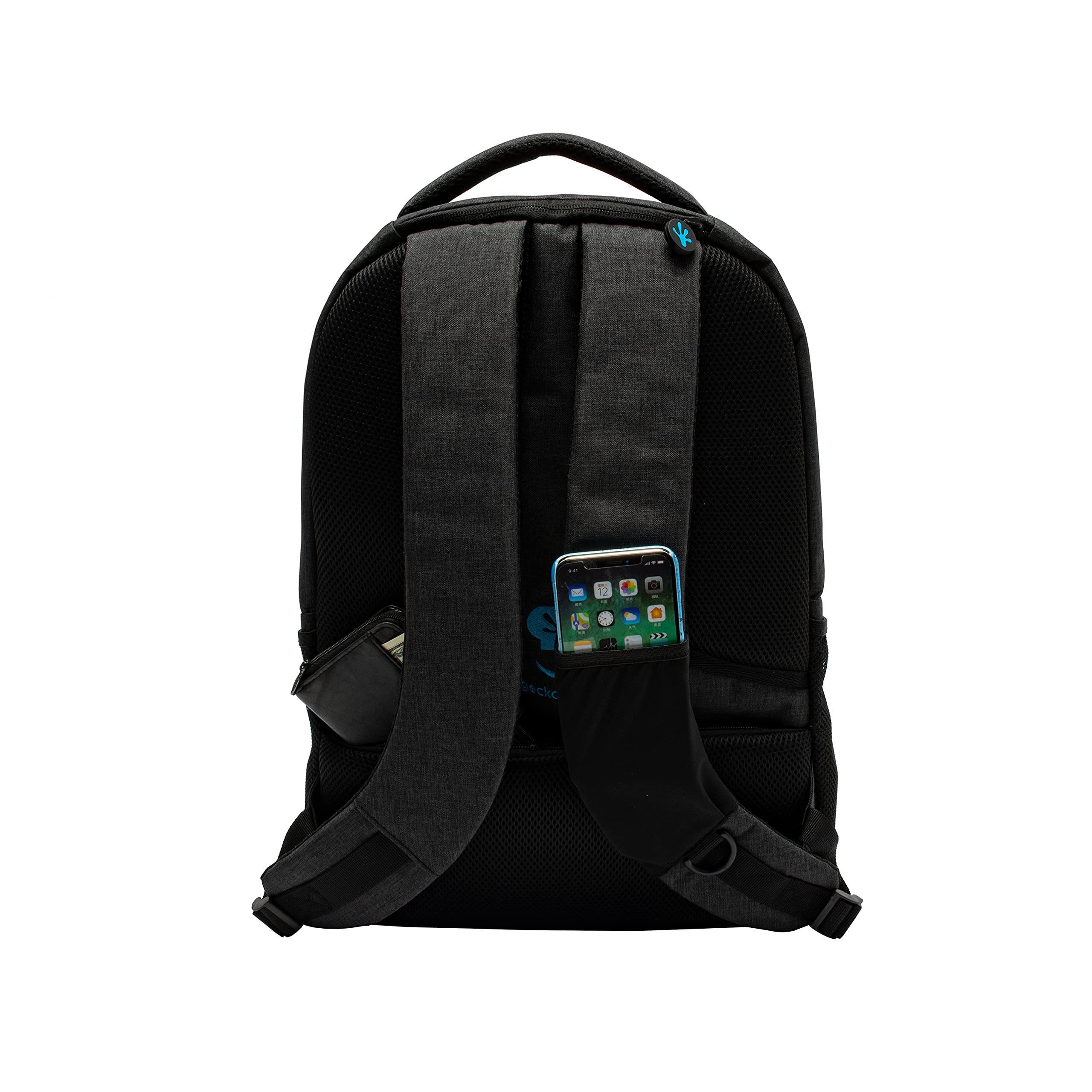 Black/Aqua