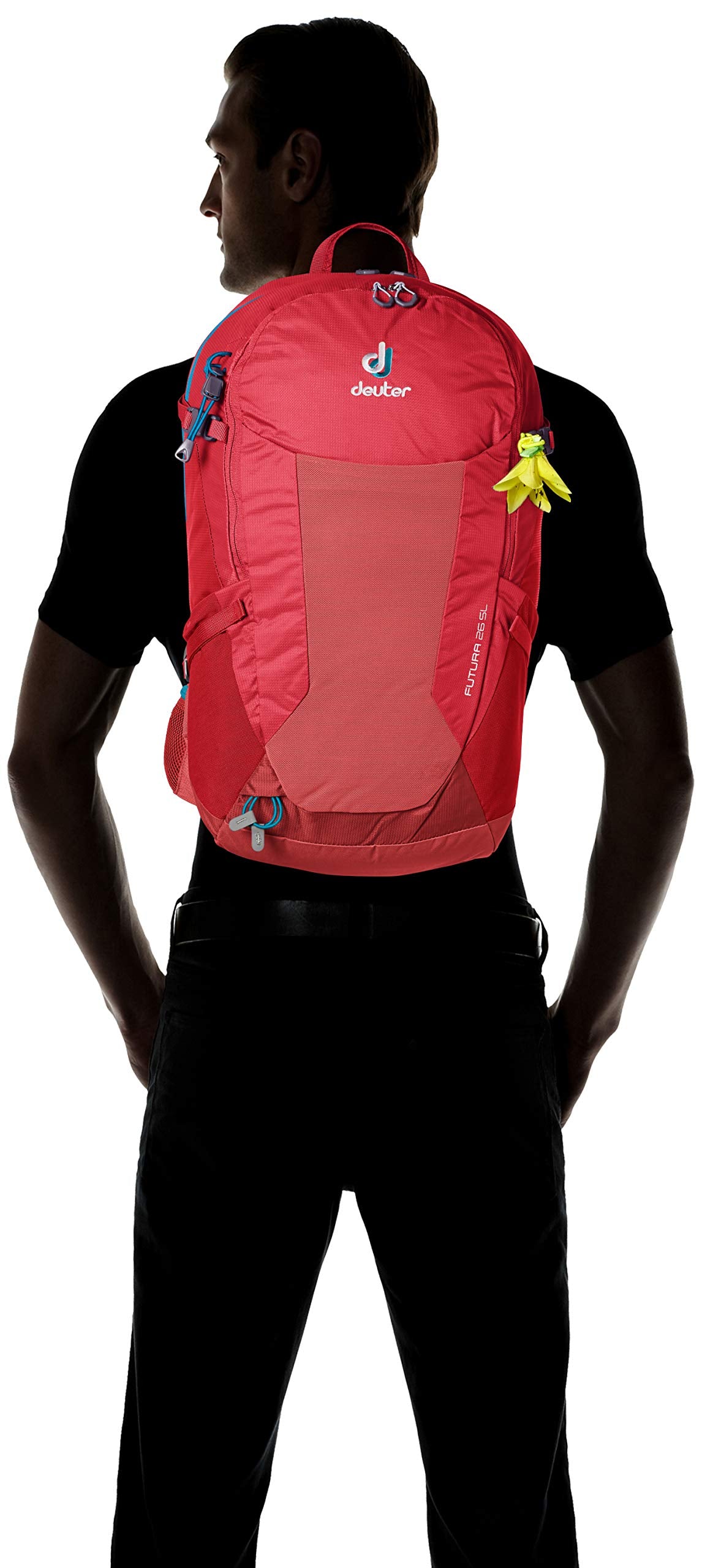 Cardinal/Cranberry