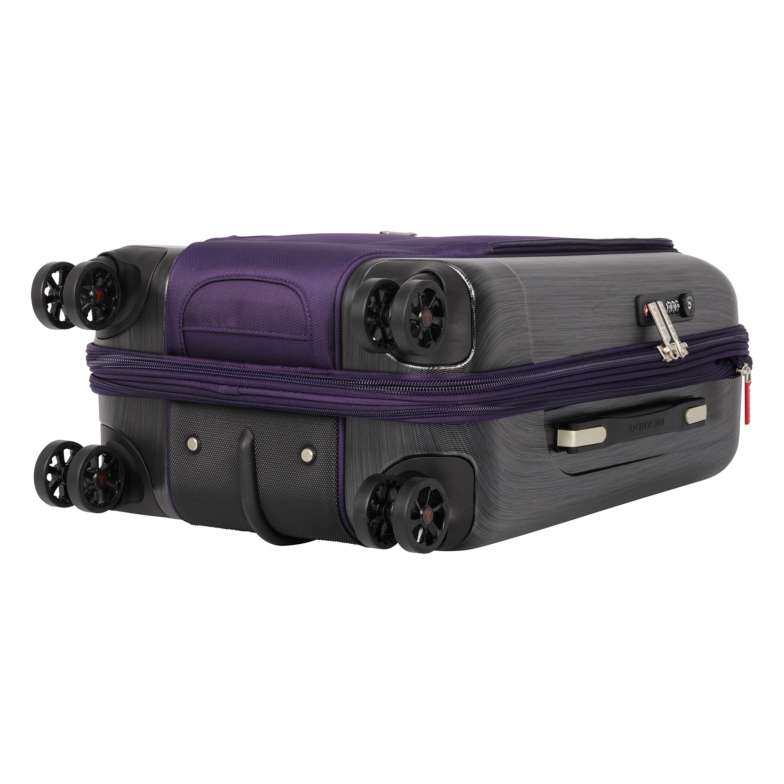 Auberinge Purple