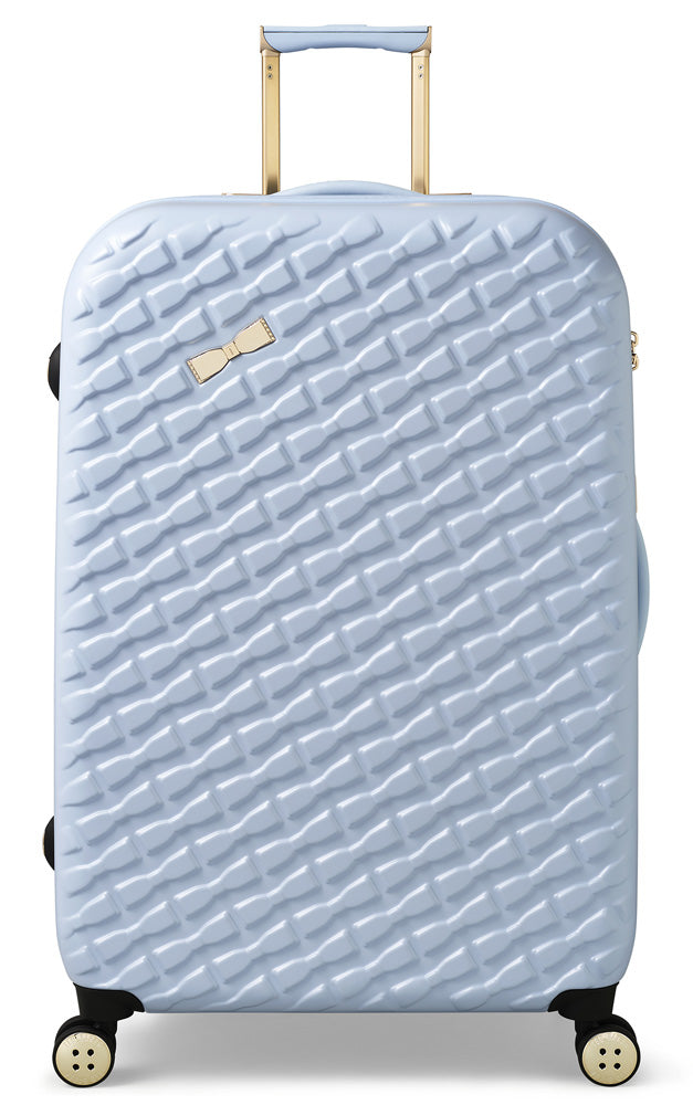 Pale Blue / Large Check In