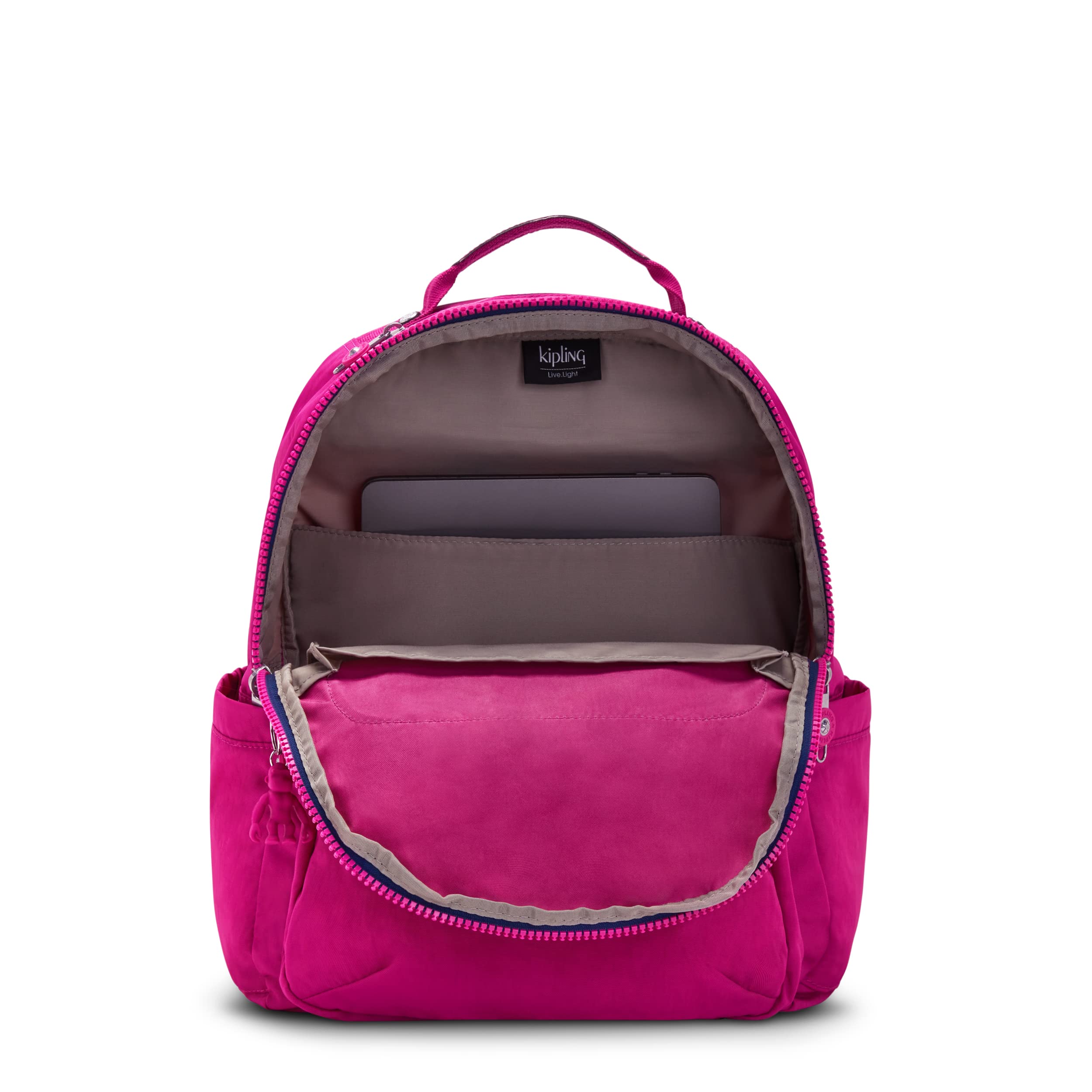 Pink Fuchsia