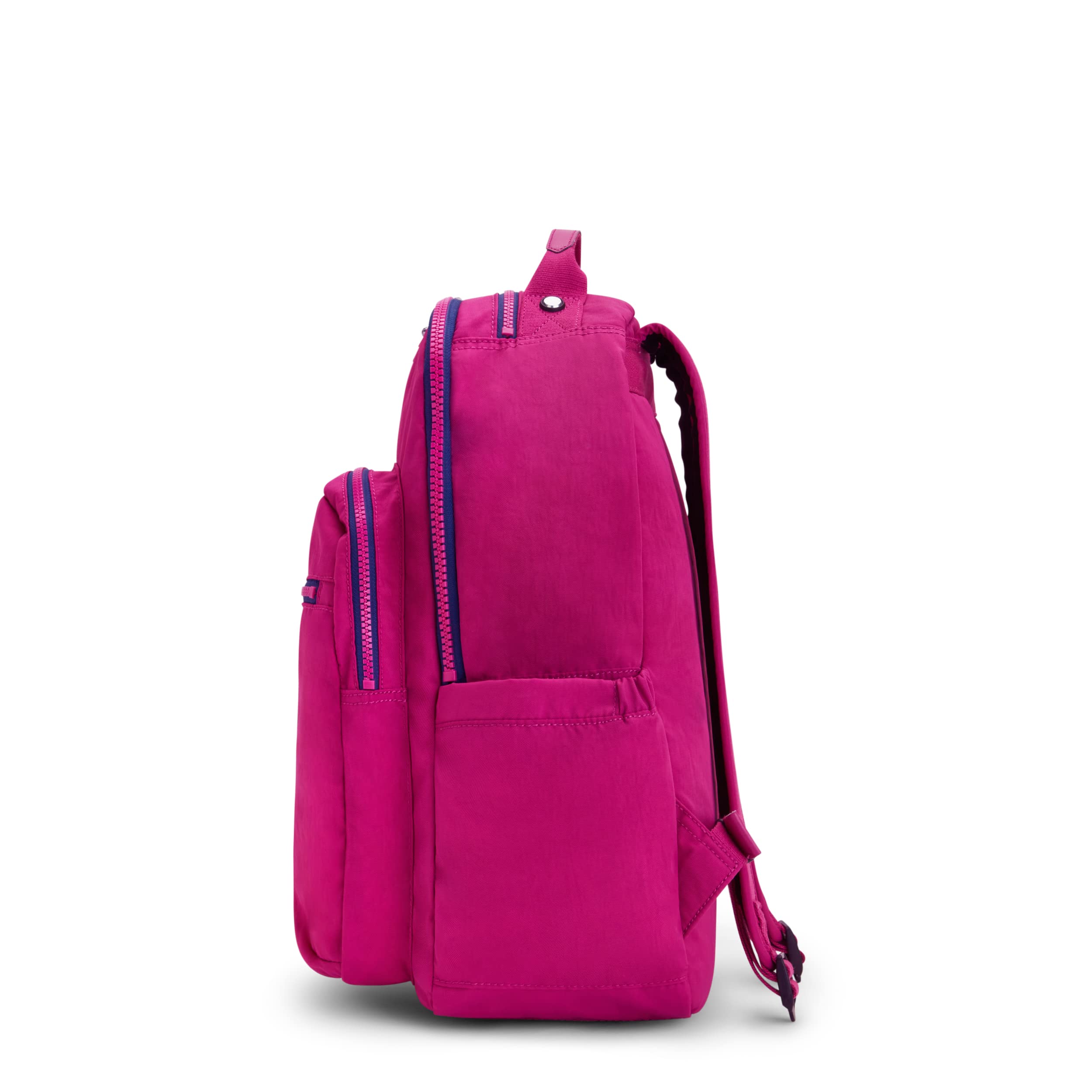 Pink Fuchsia