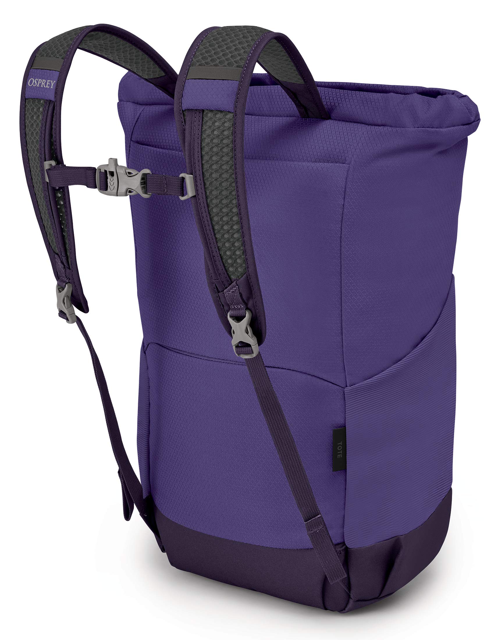 Dream Purple