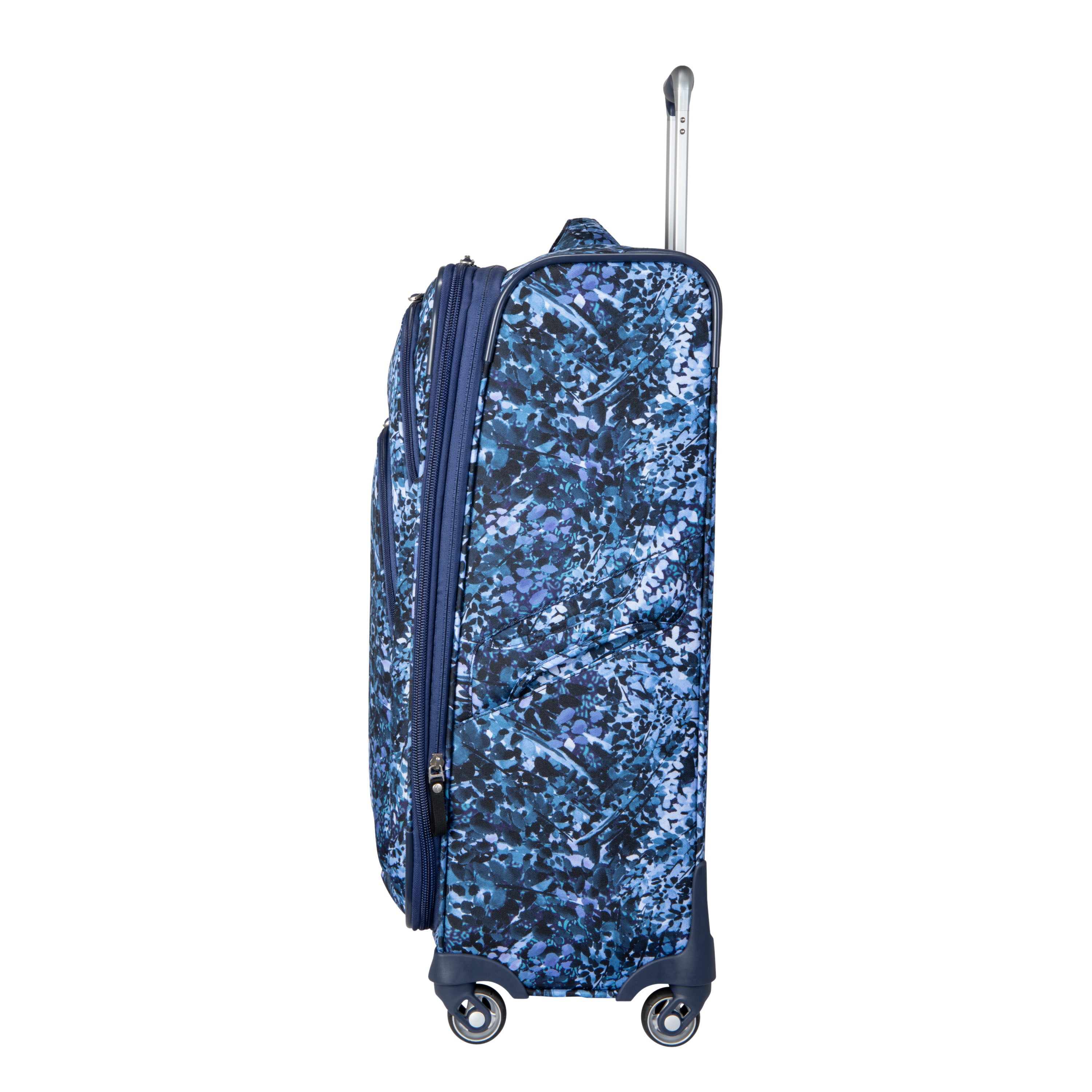 Blue Fern Print