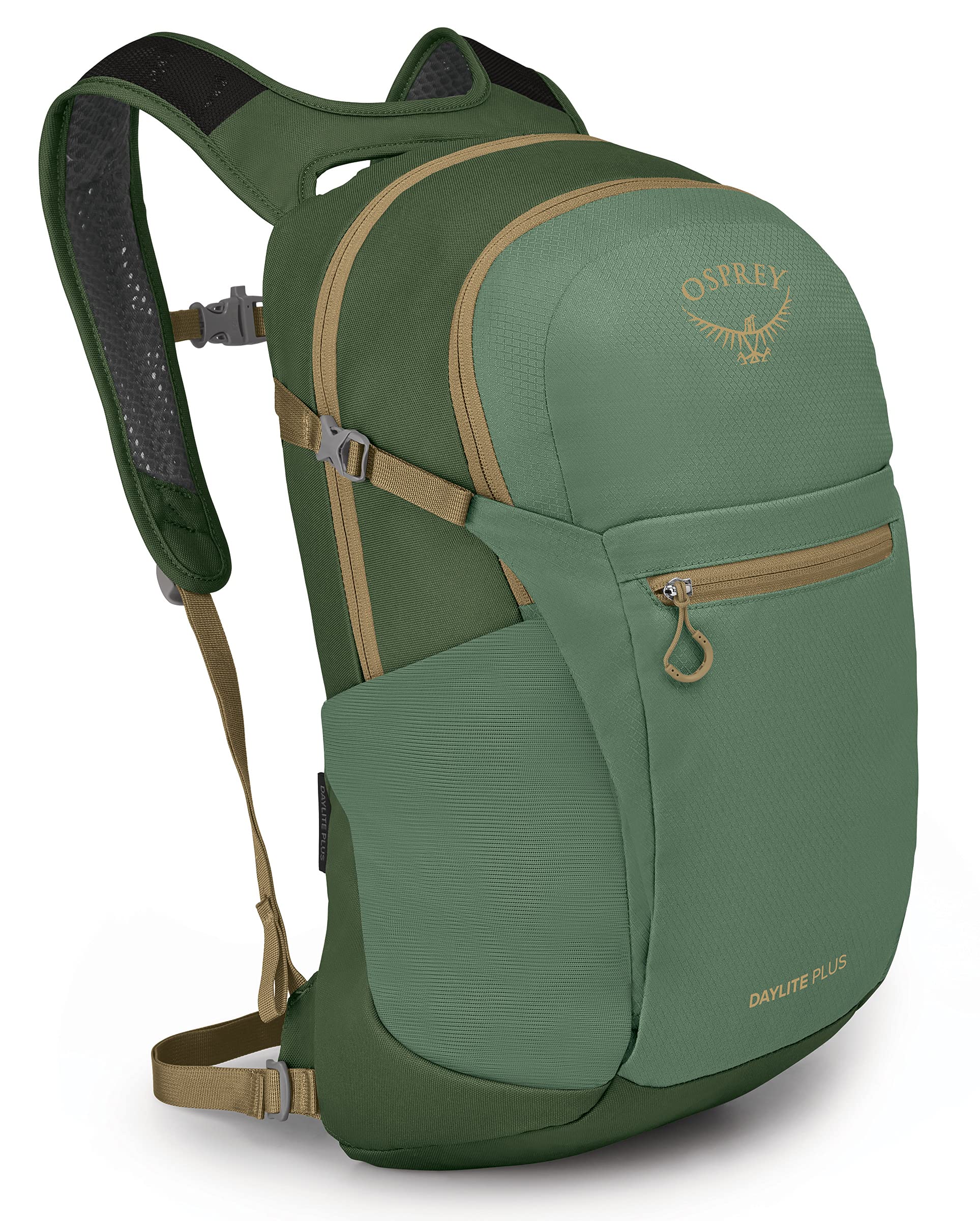 Tortuga/Dustmoss Green