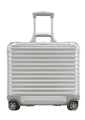 Aluminum